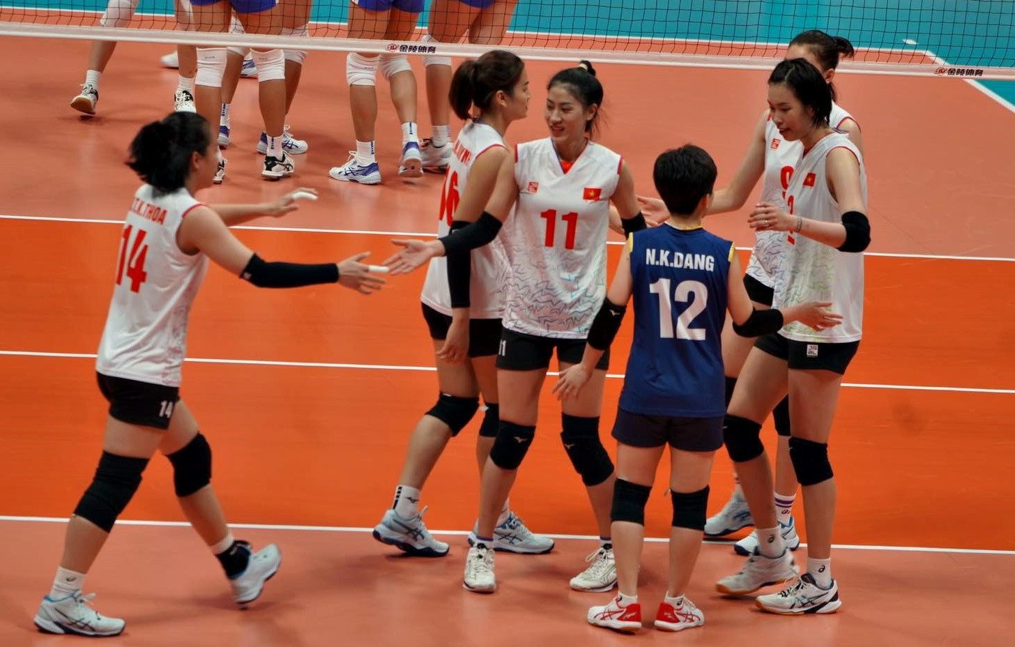 bong chuyen nu viet nam 1.jpg