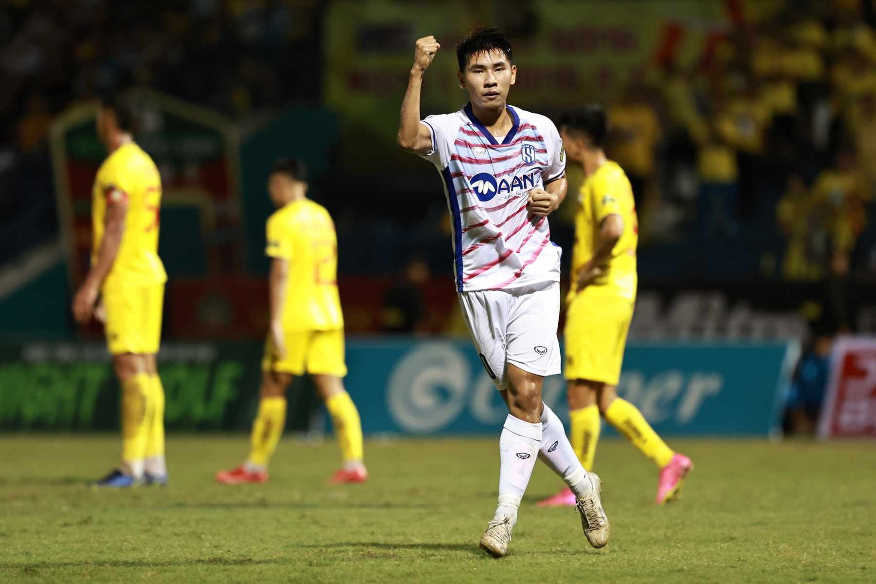 manh quynh thanh hoa slna.jpg