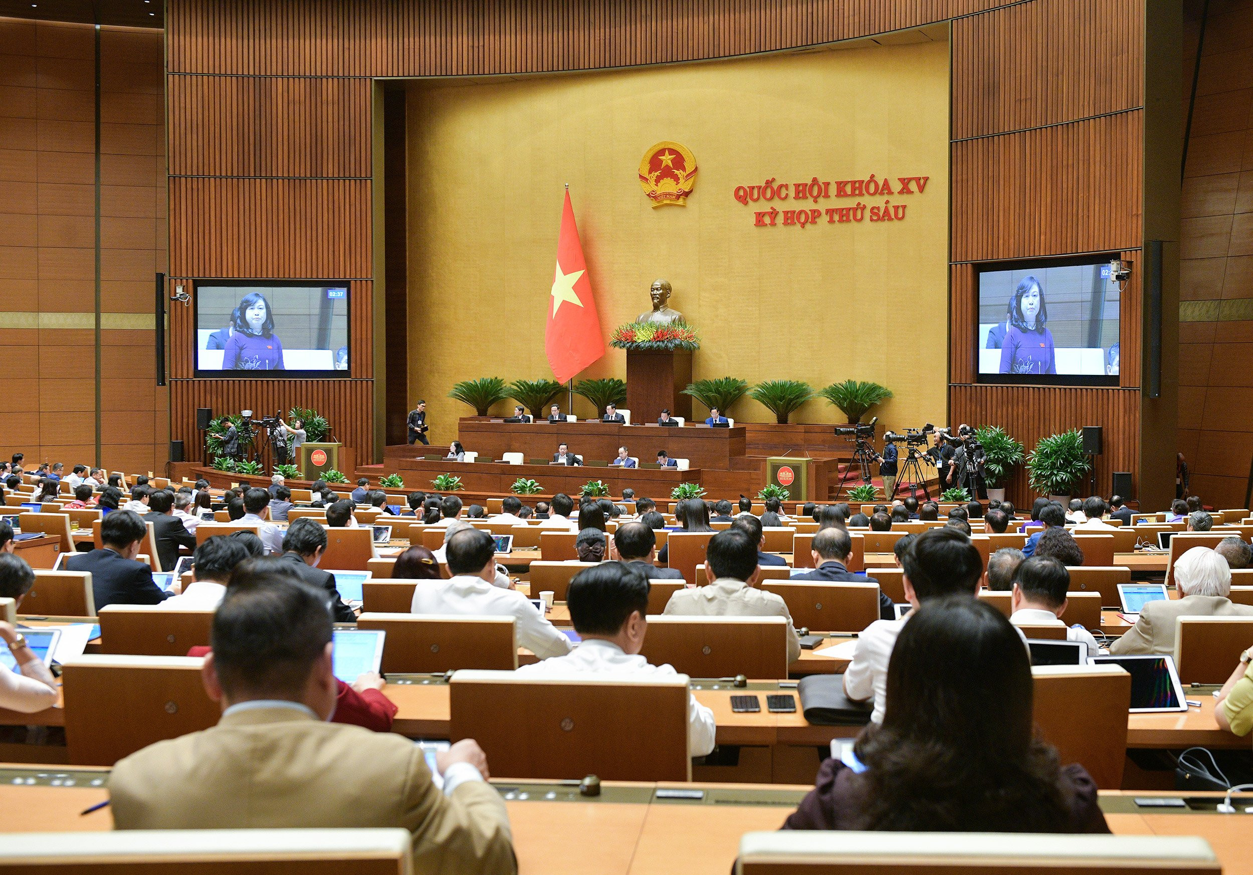 đào hồng lan.jpeg