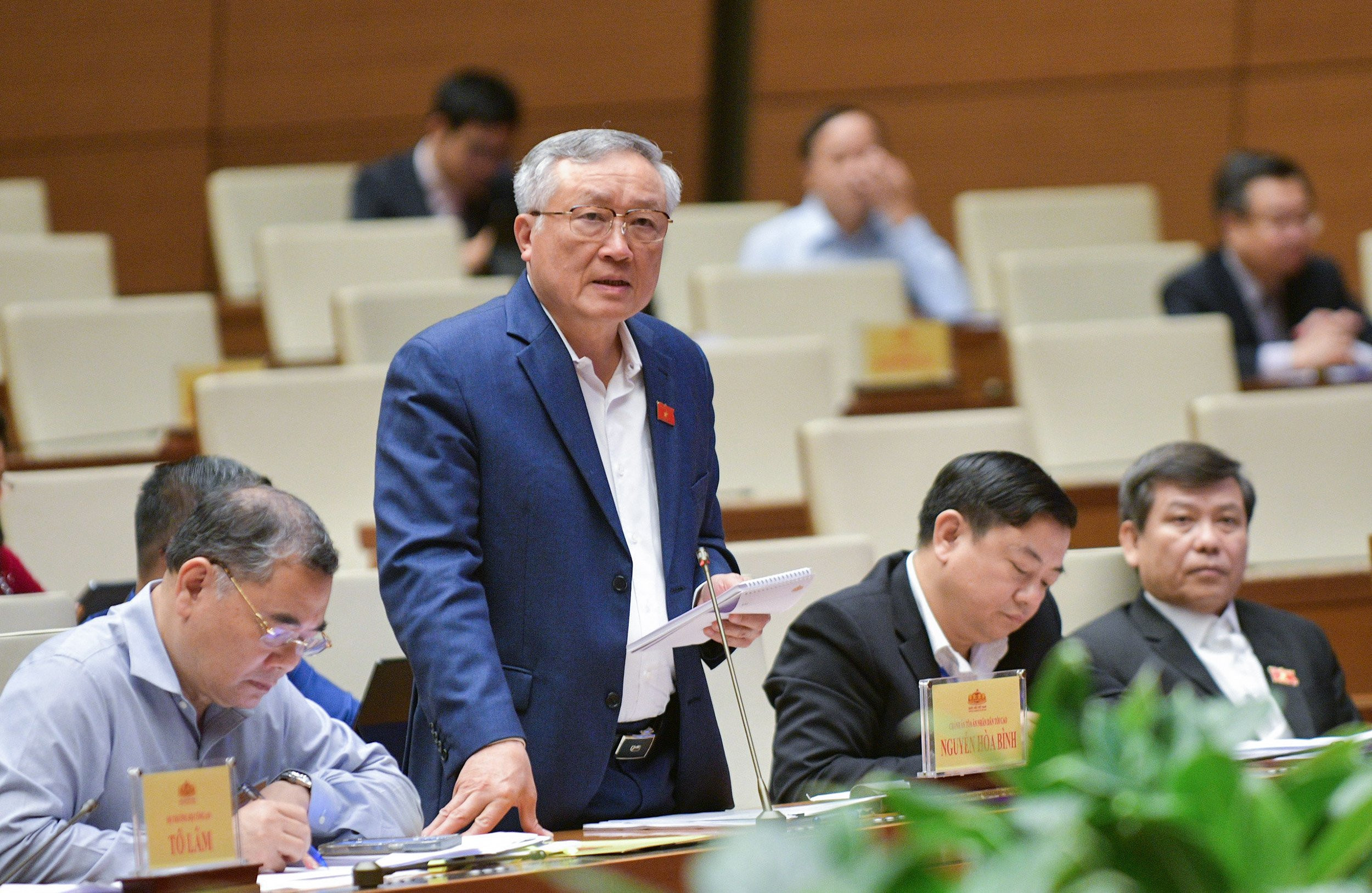 nguyen hoa binh 1.jpg