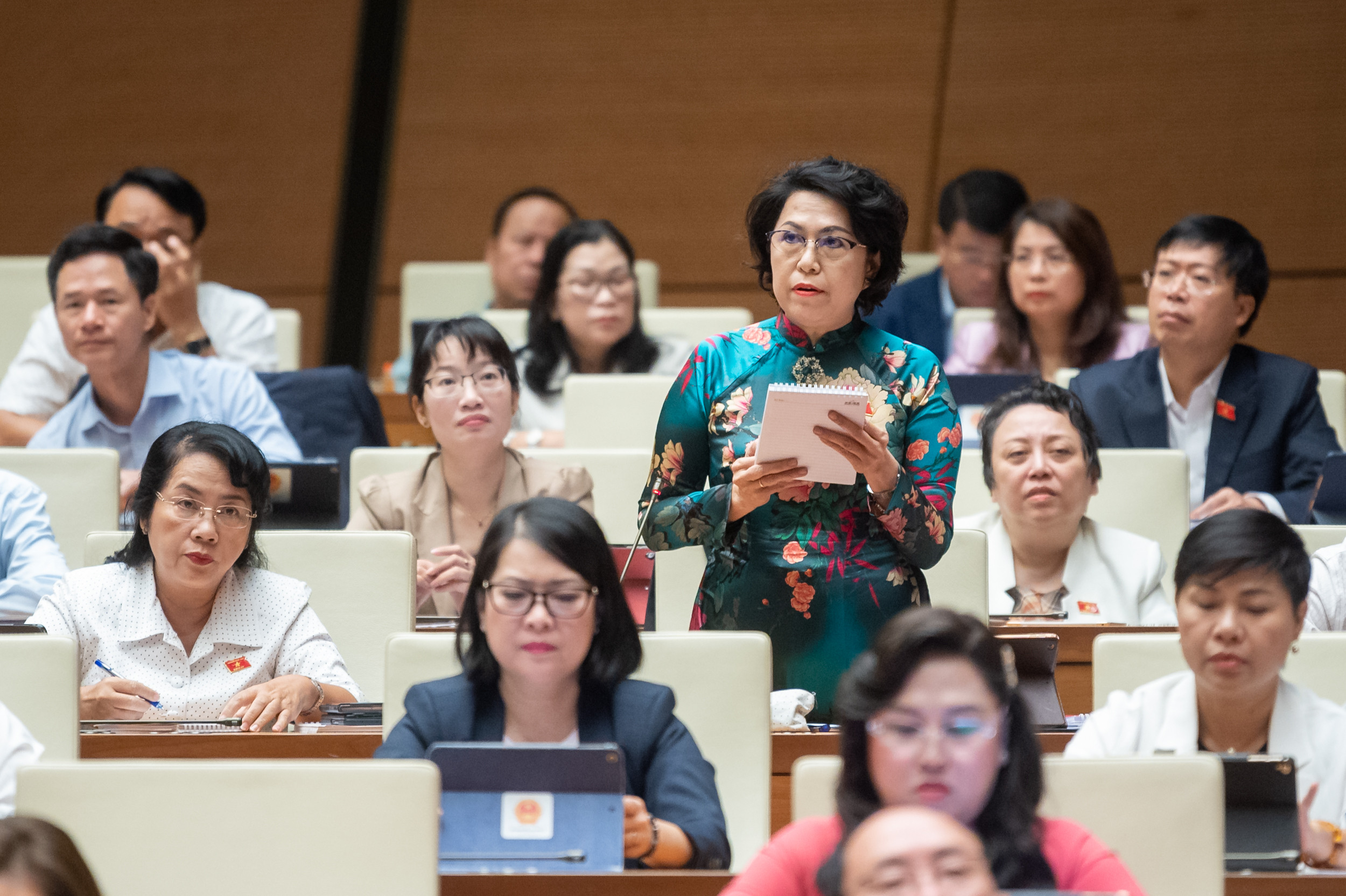 to thi bich chau.jpg