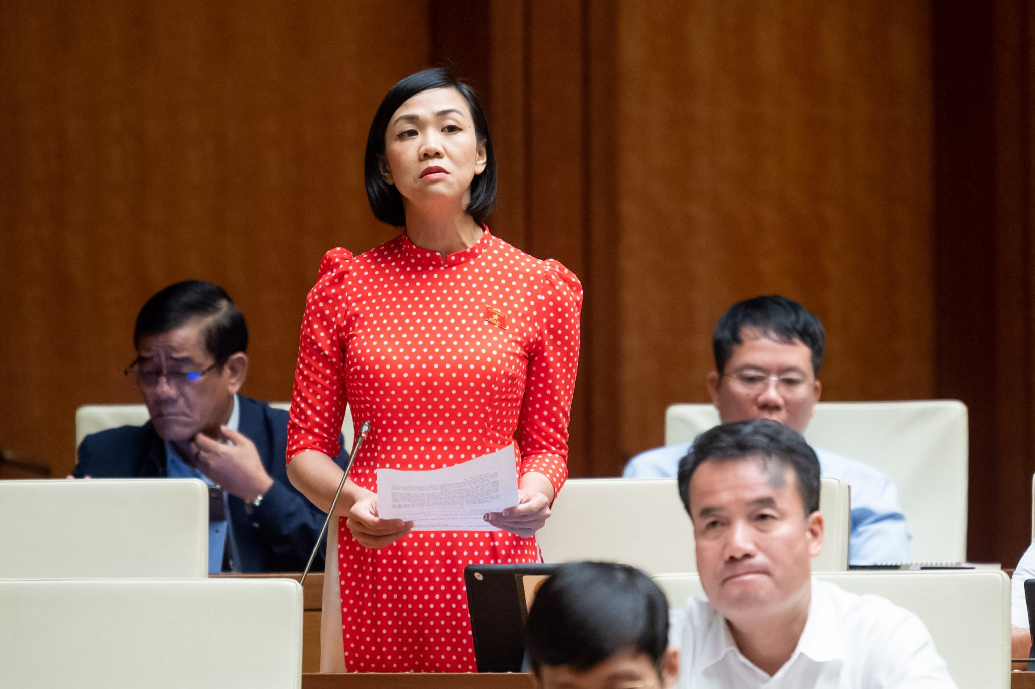 trinh thi tu anh.jpg