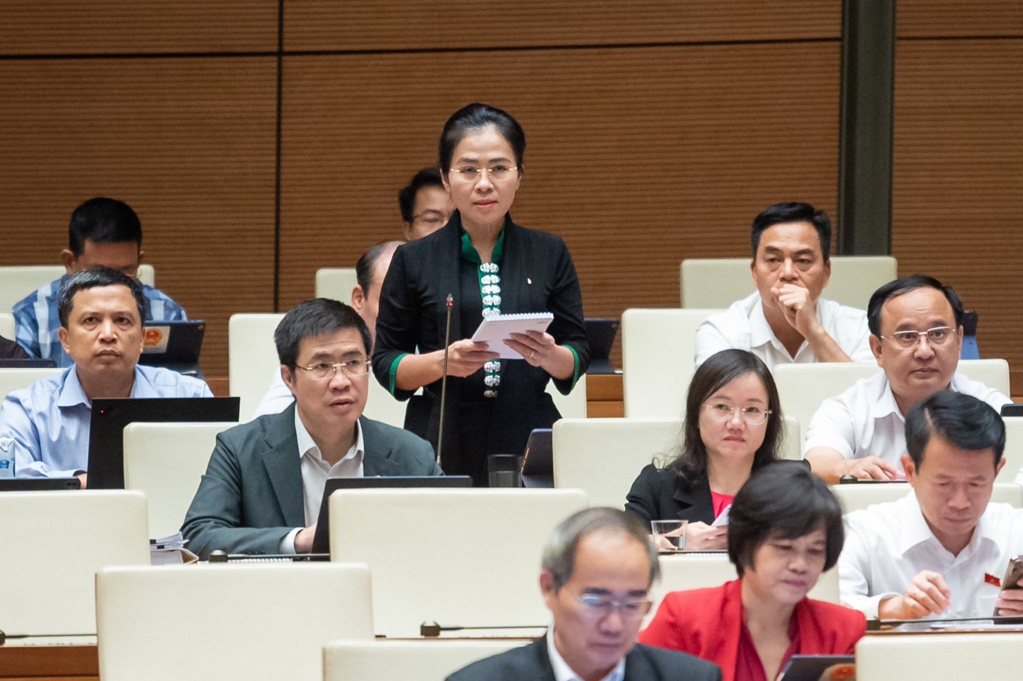 vo thi minh sinh.jpg