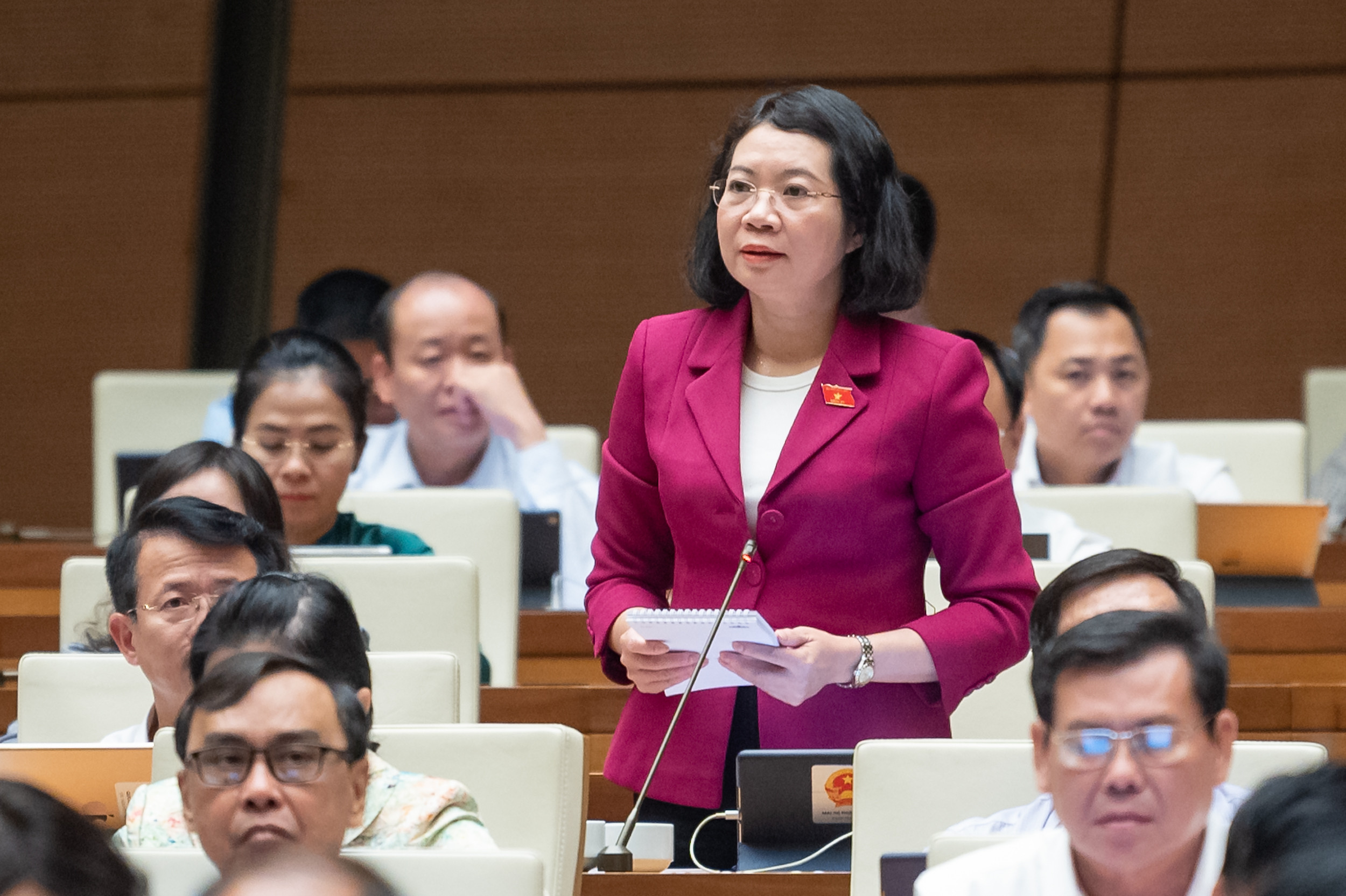 mai thi phuong hoa.jpg