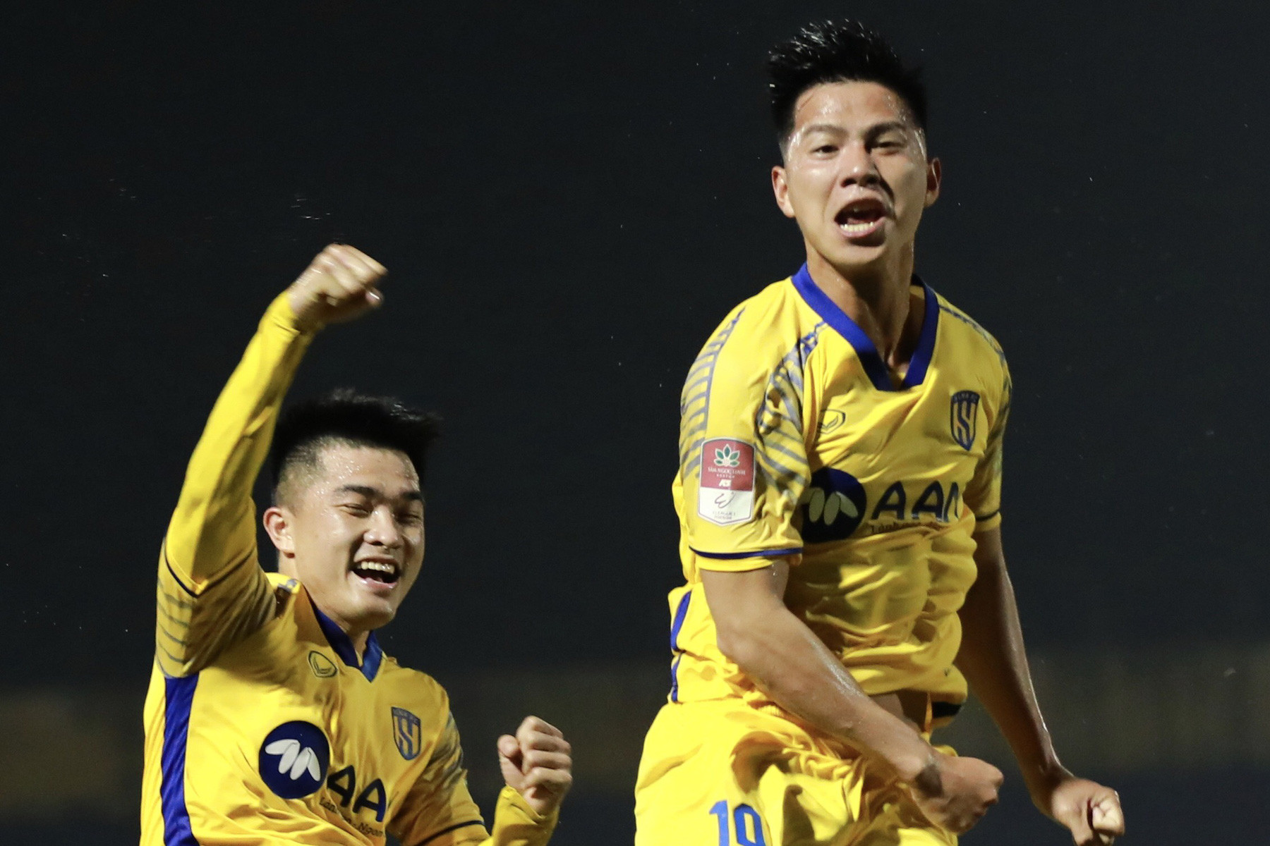 phan ba quyen slna binh dinh.jpg