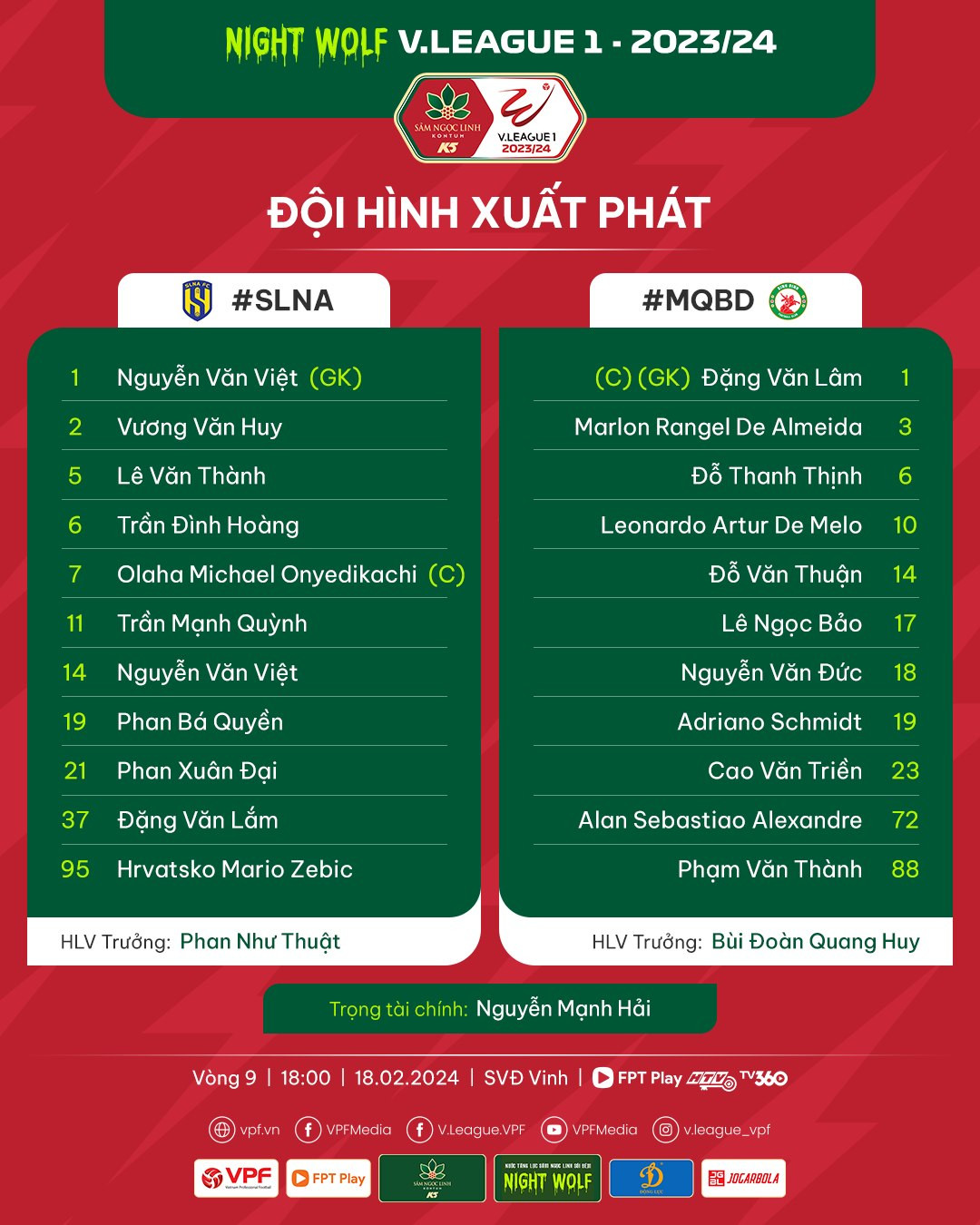 slna binh dinh doi hinh.jpg