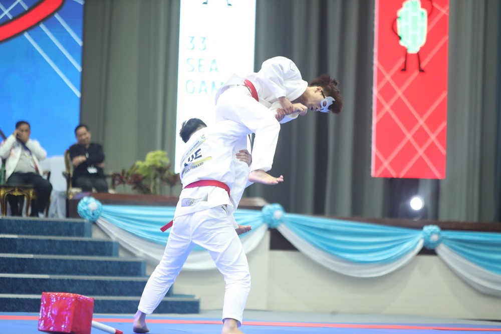 ju jitsu viet nam 2.jpg