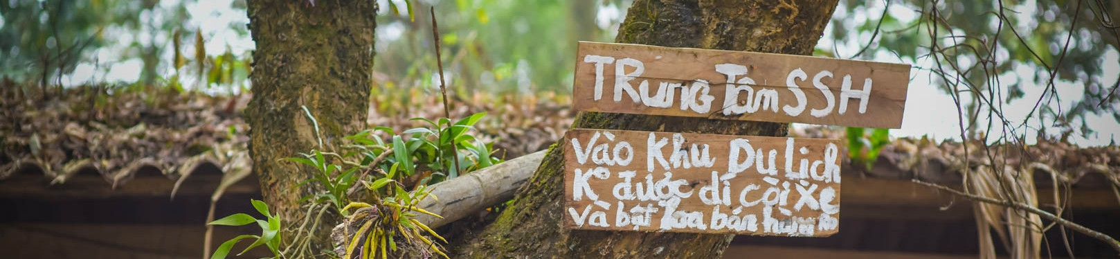 Lệ lạ ở các làng, bản du lịch Việt Nam