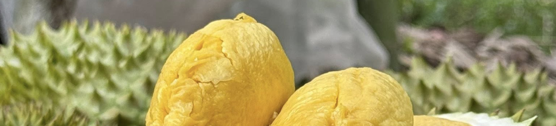 Để sầu riêng không thành 'sầu chung'