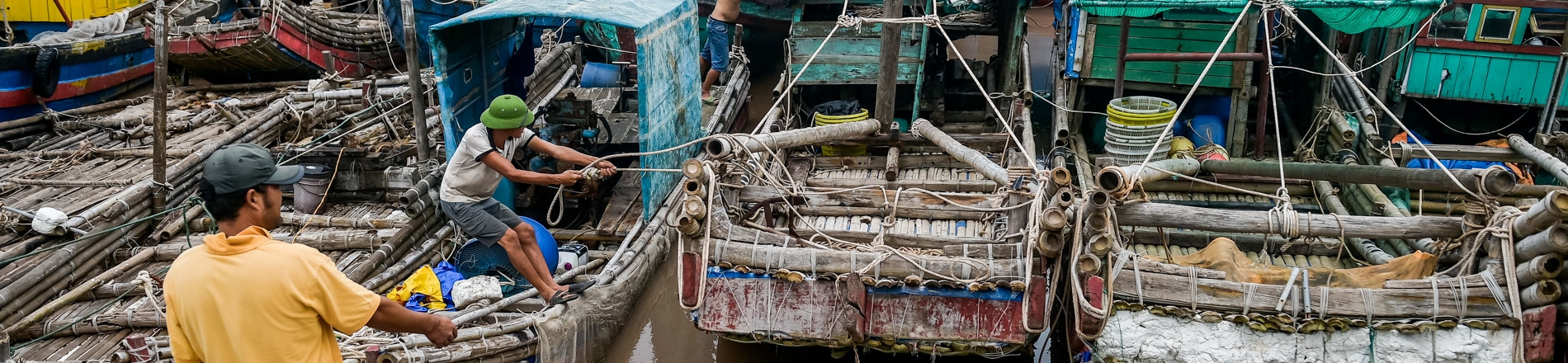 Tin tức về bão số 5 (bão Kajiki)