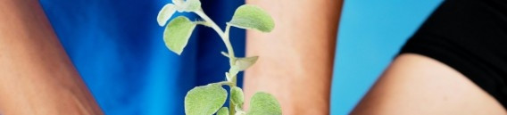 Những câu chuyện ấm lòng