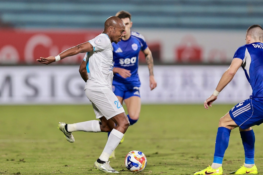 nam dinh vs lion 5.jpg