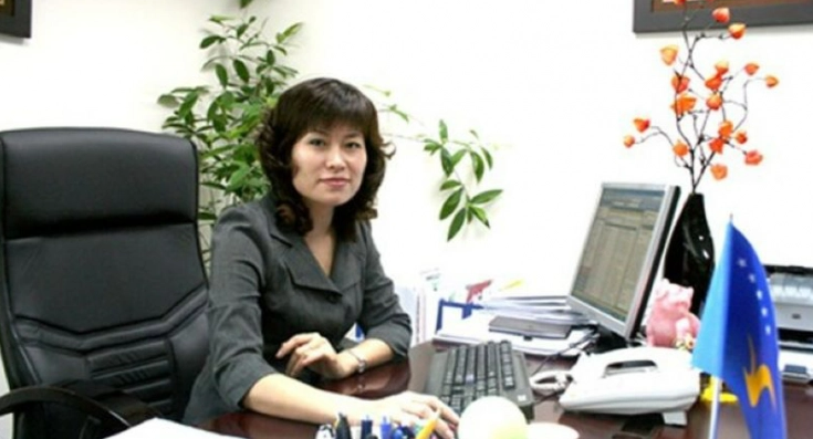 pham thuy hang vingroup.png