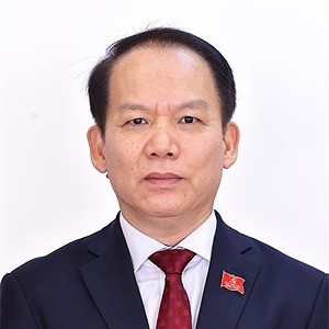 Ông Hoàng Thanh Tùng