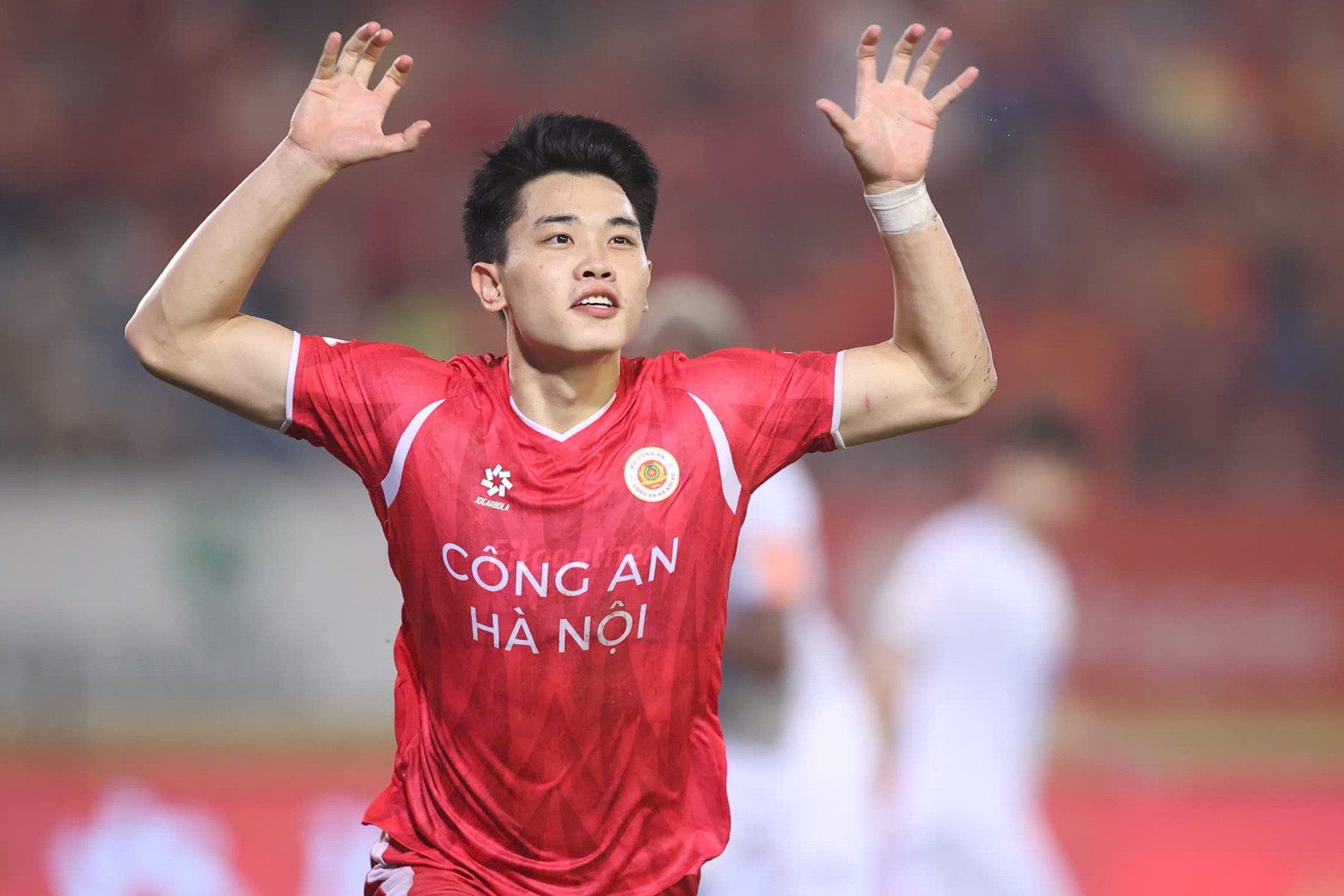 Dinh Bac CAHN Nam Dinh 8.jpg