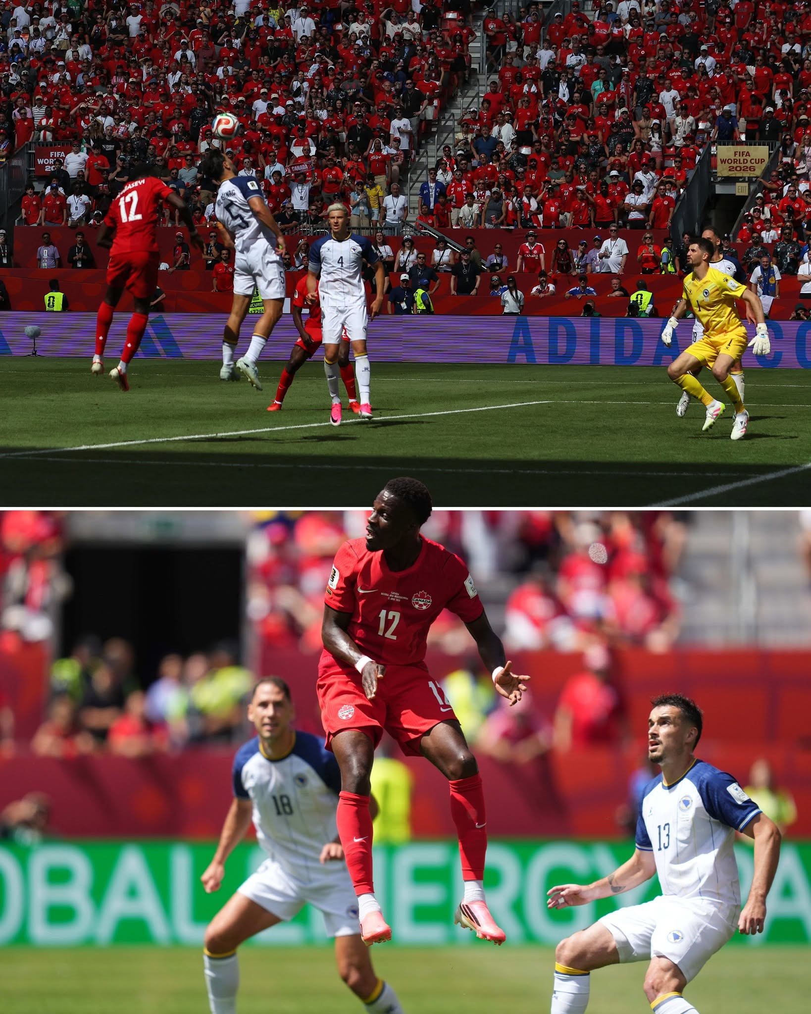 canada vs bosnia.jpg