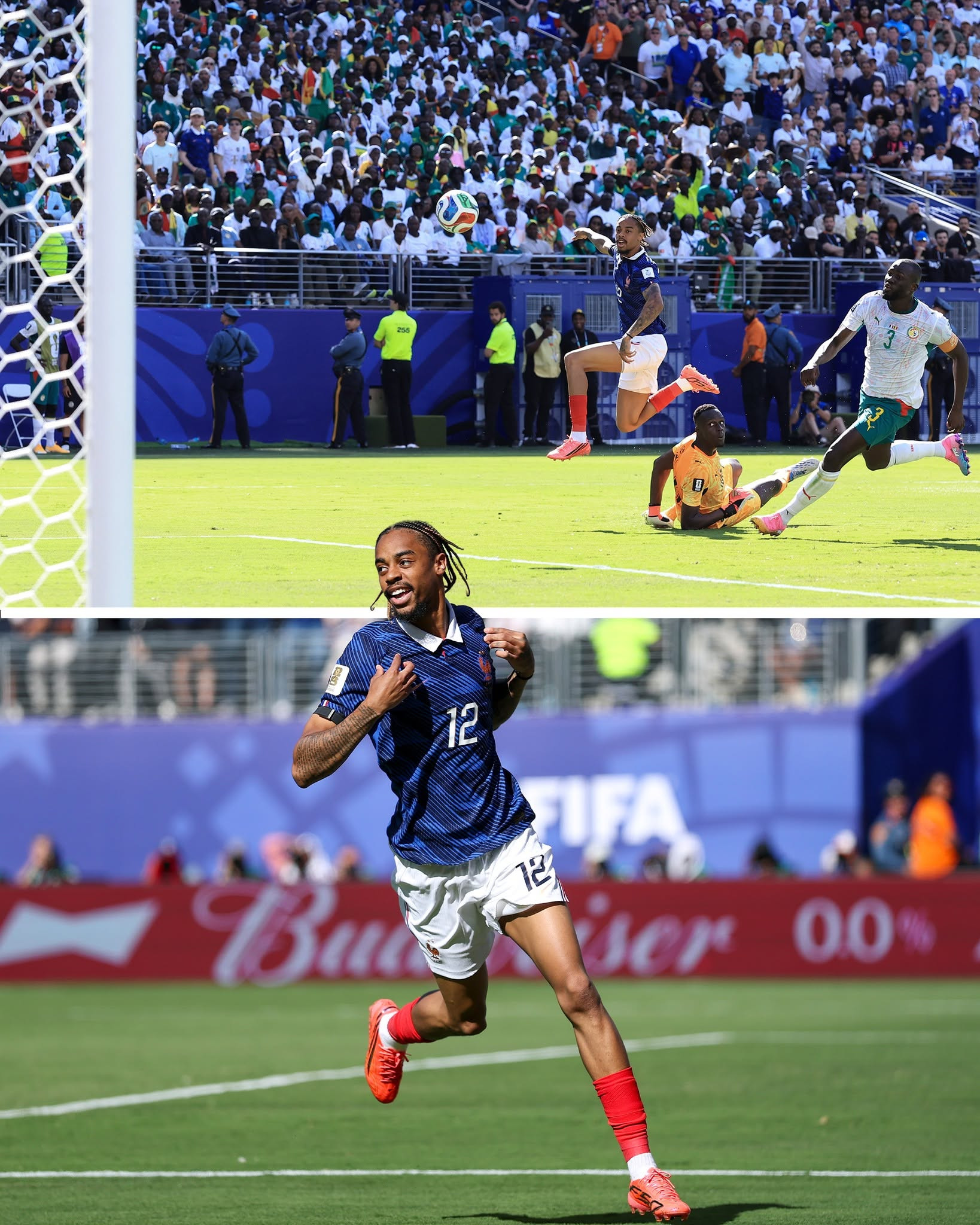 phap vs senegal.jpg