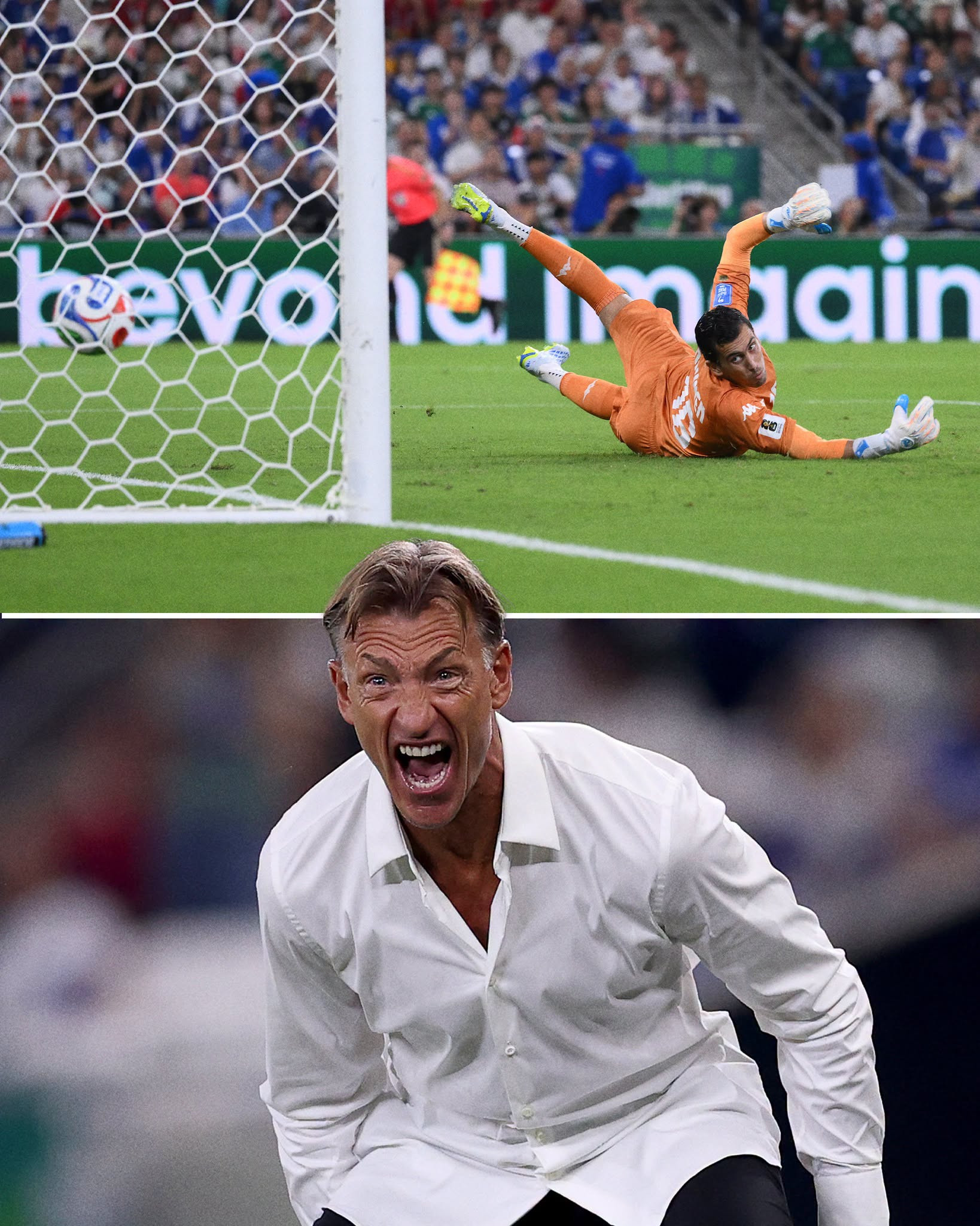 Herve Renard.jpeg