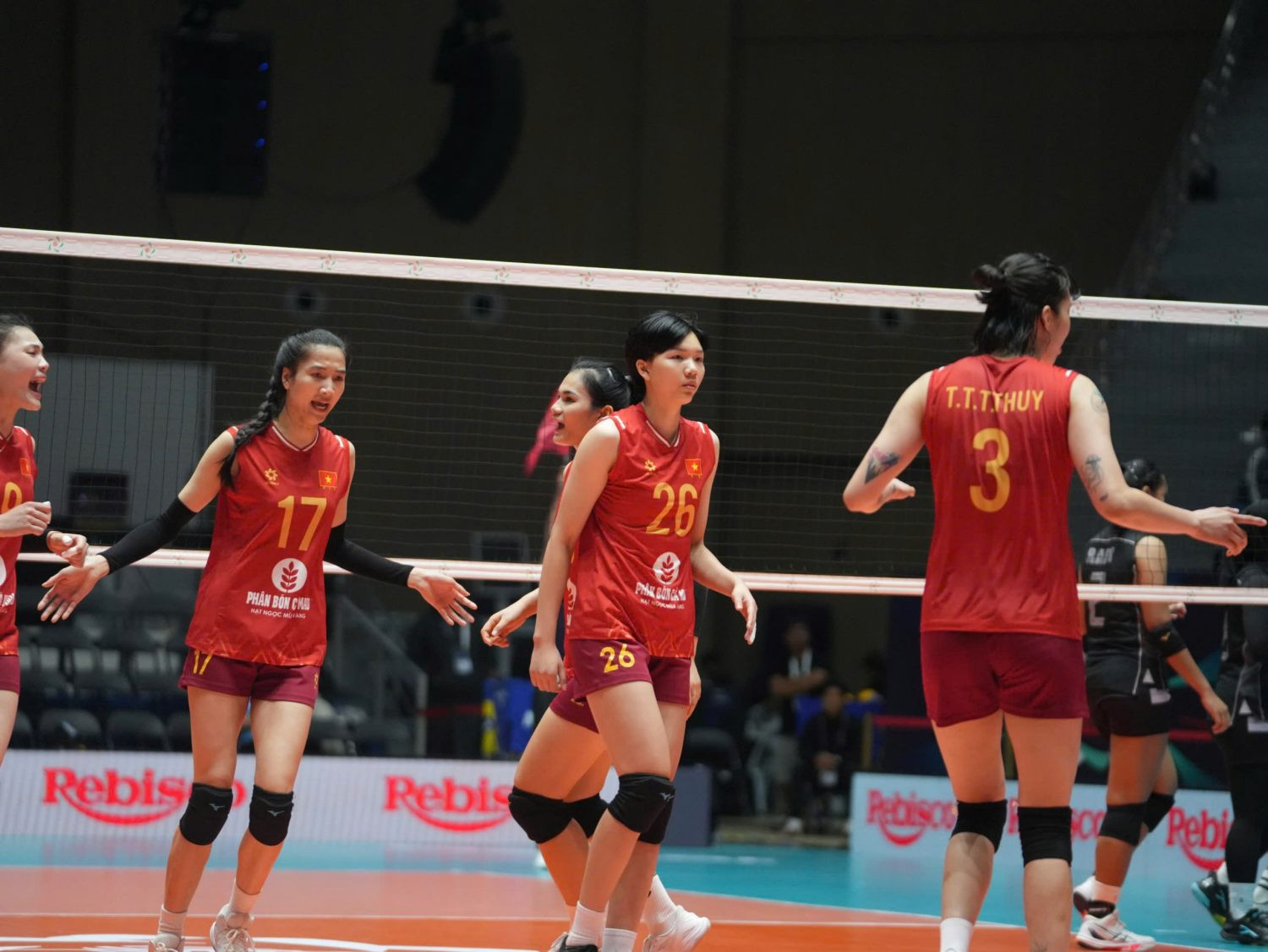 bong chuyen nu viet nam 10.jpg