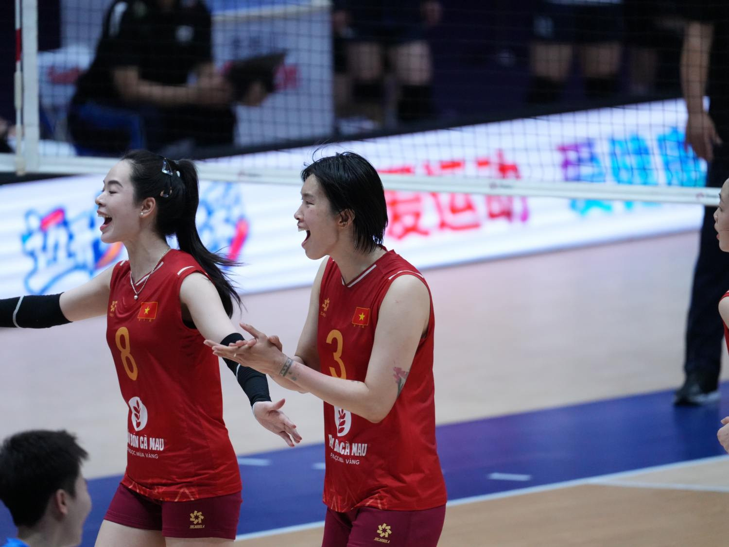 bong chuyen nu viet nam 5.jpg