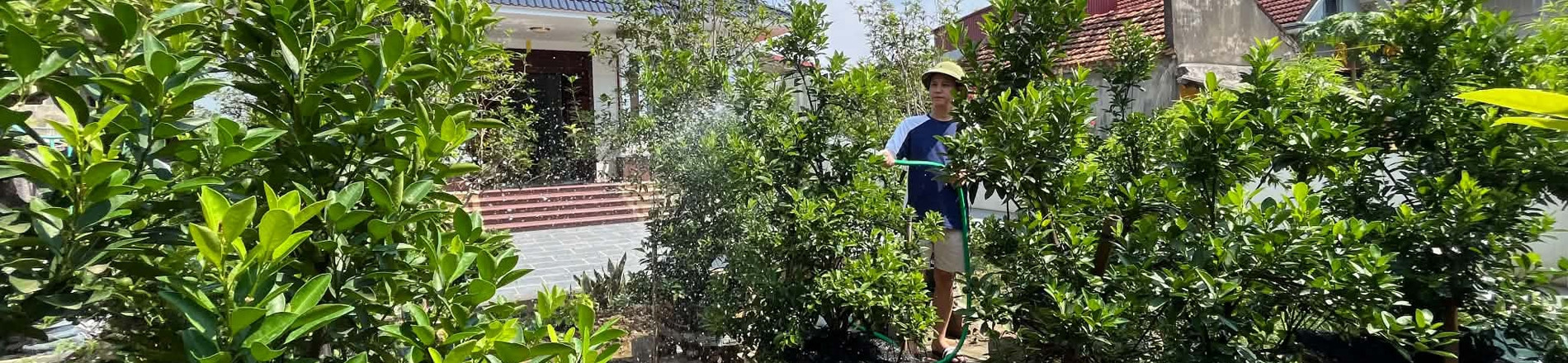 Làm ở phố, sống ở ngoại ô