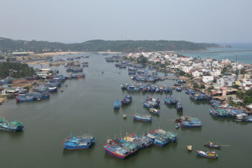 Gỡ 'thẻ vàng' IUU: Bình Định mạnh tay với tàu cá vi phạm vùng biển nước ngoài