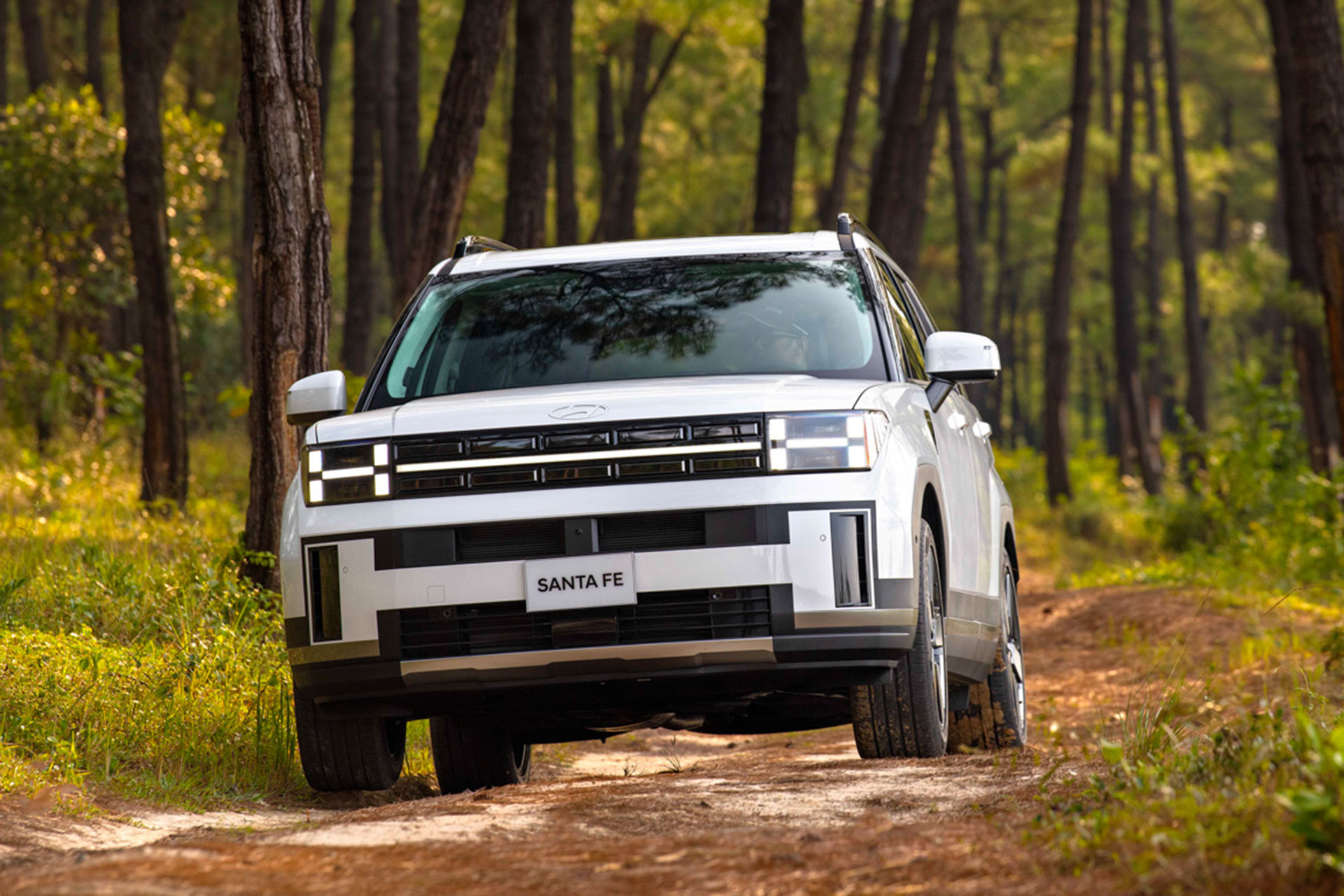 Hyundai All New Santa Fe   7.jpg