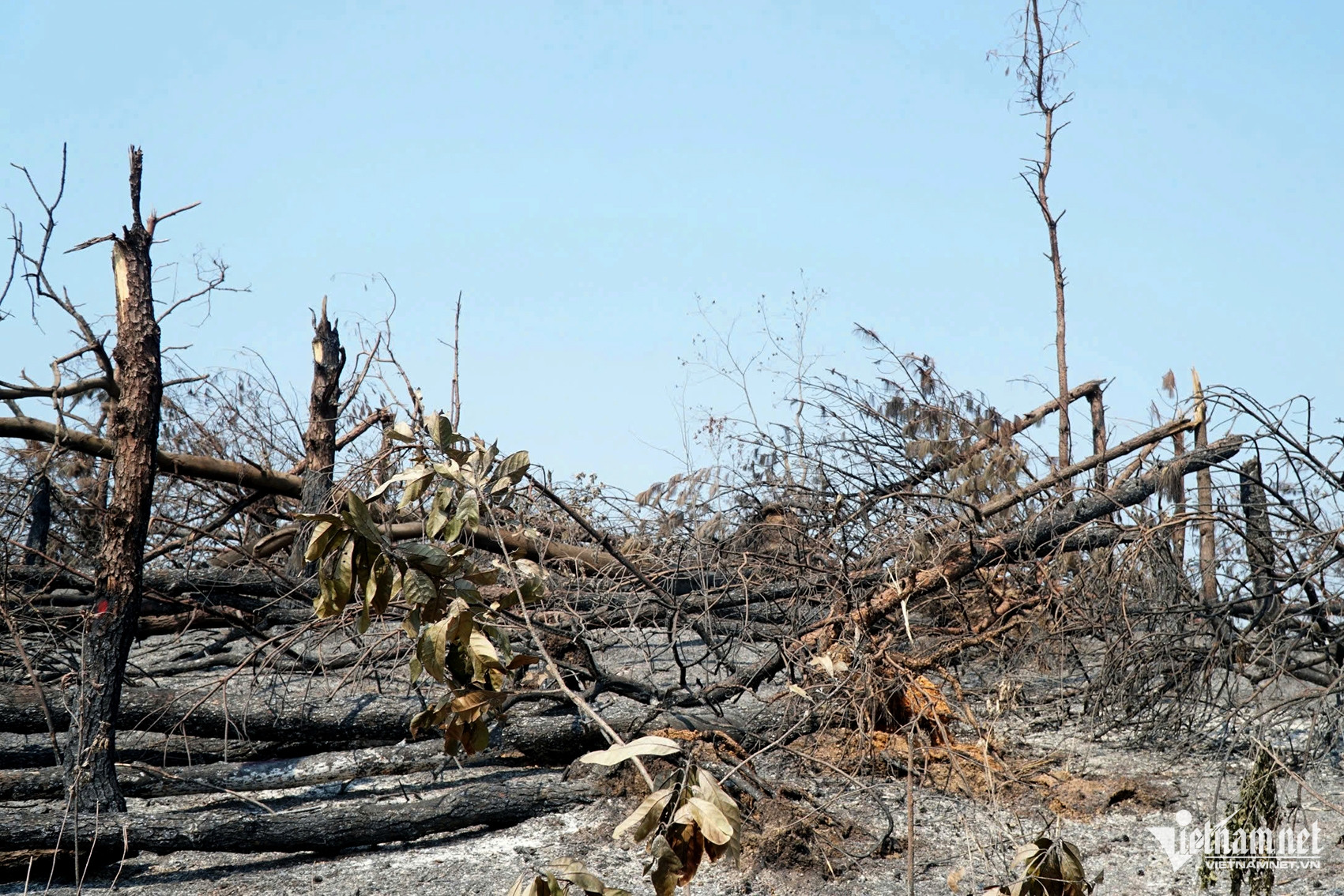 W-1fef3626 1f73 4ccd 9b85 8065b02fa469.jpeg