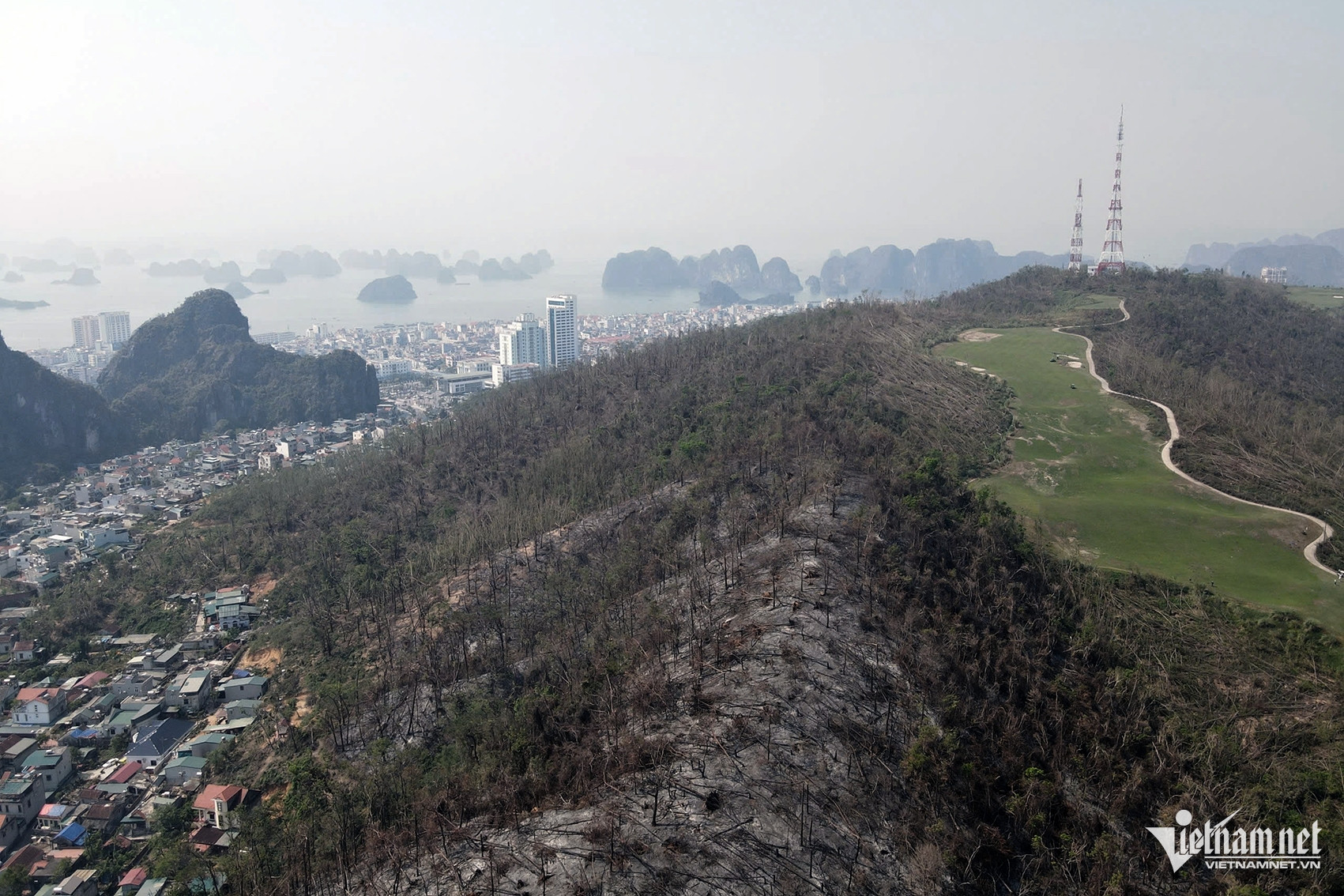 W-38a046f7 1304 4cc9 9c8c bea54ad903df.jpeg