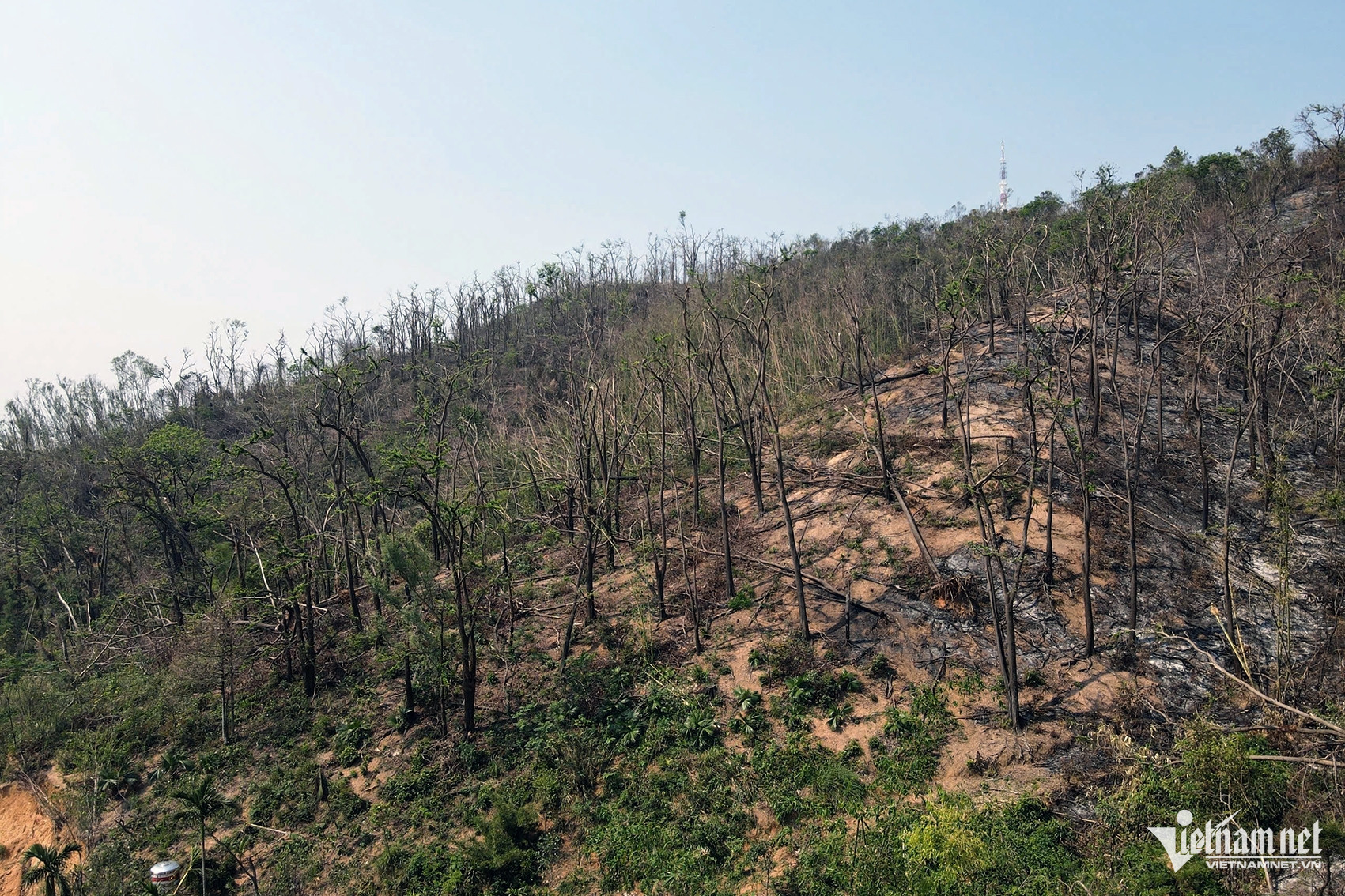 W-63ac5bd4 fc18 4b6f bdd7 d39182a993d6.jpeg