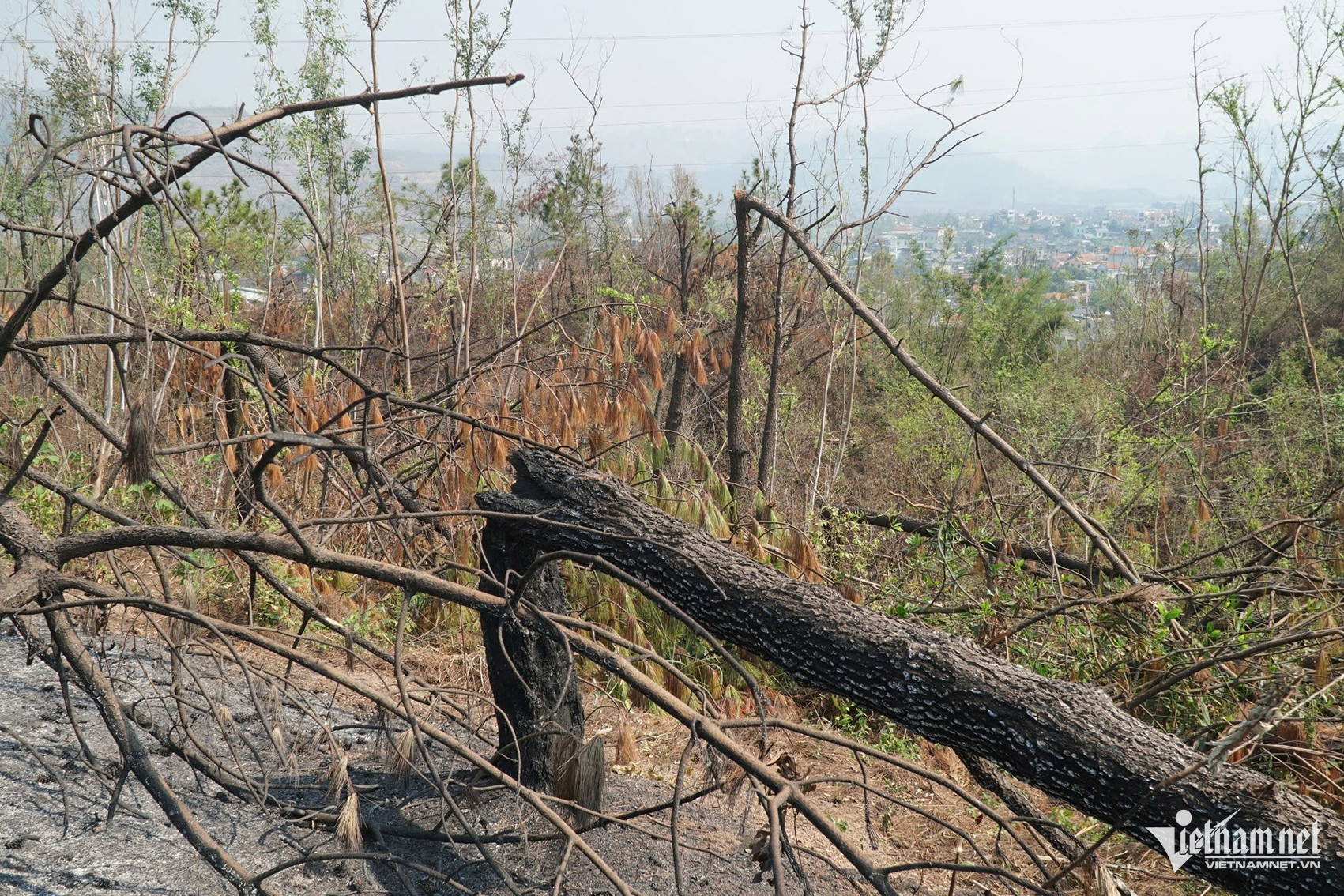 W-9bca9eb2 f376 4b01 80ad 44c18106dd7b.jpeg