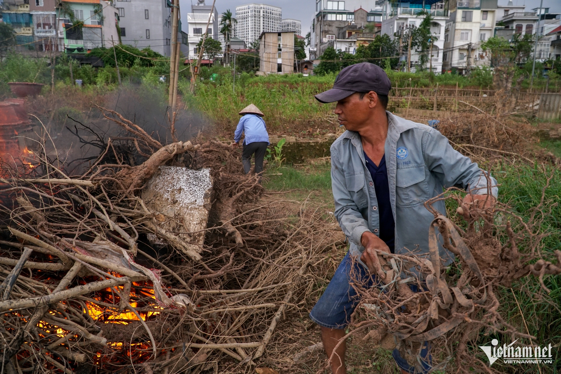 W-Đào Nhật Tân 16.jpg