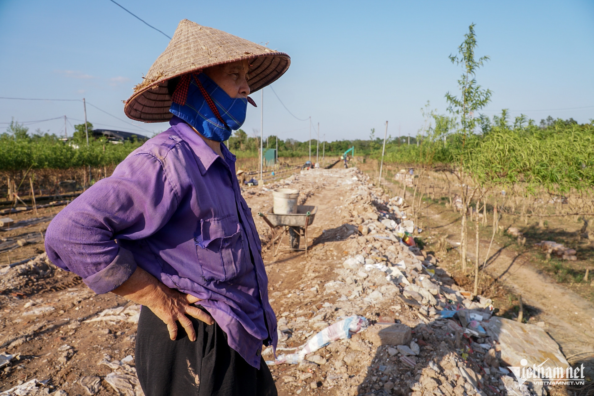 W-Đào Nhật Tân 20.jpg