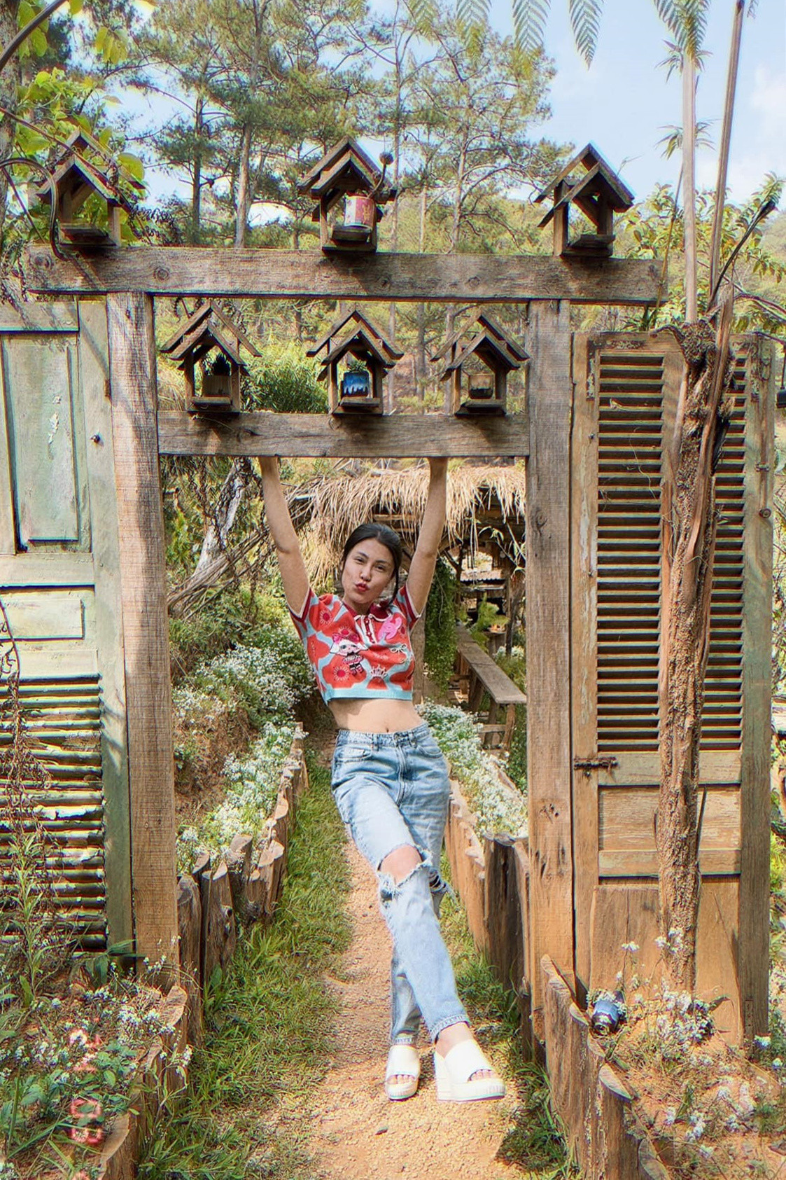 Hình ảnh