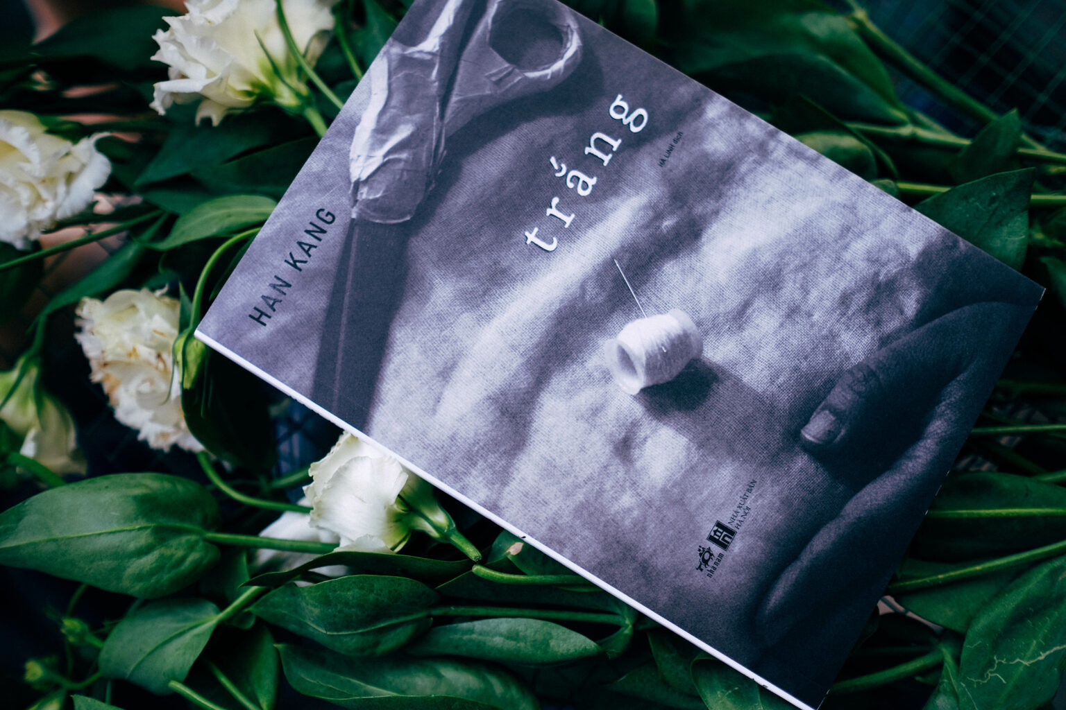 Trang 4 1536x1024.jpg