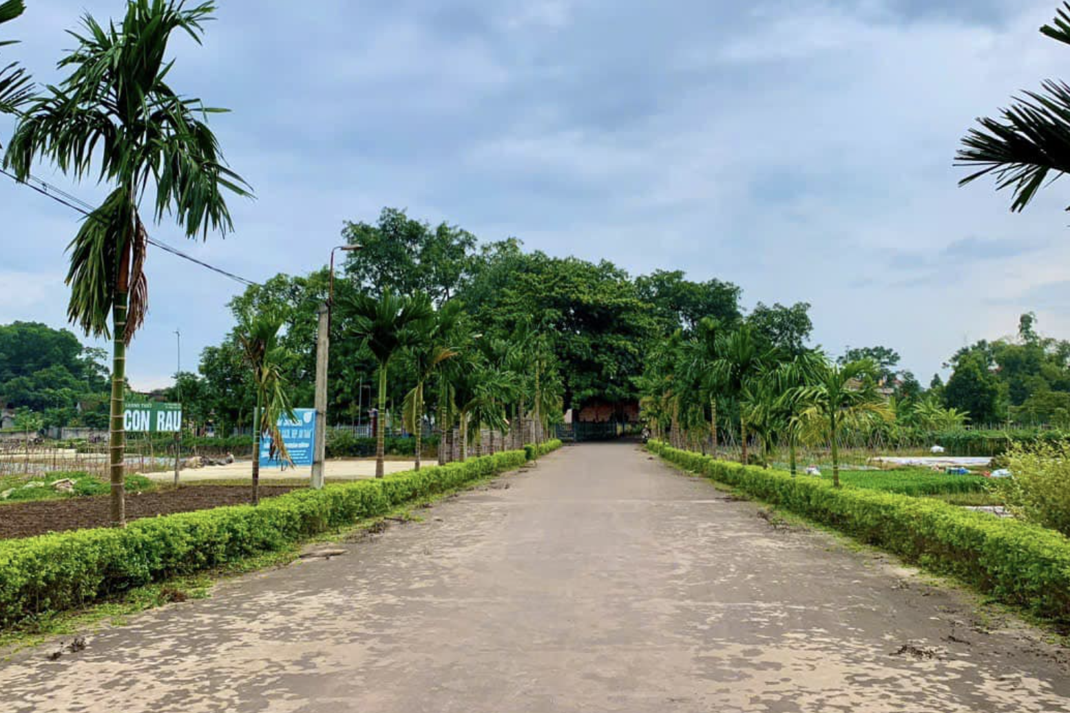 Bắc Giang hoàn thiện giao thông trong xây dựng nông thôn mới nâng cao