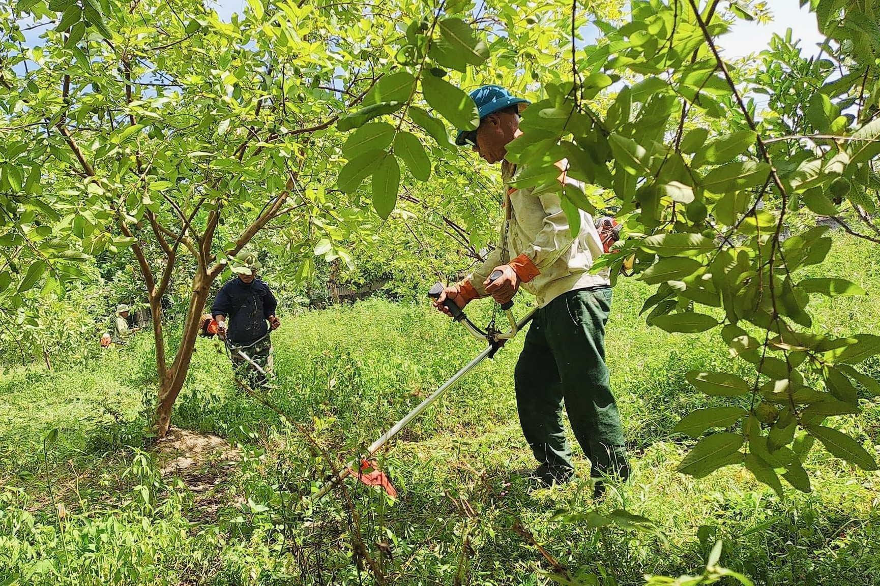 Thịnh Sơn về đích nông thôn mới nâng cao bằng sức mạnh lòng dân