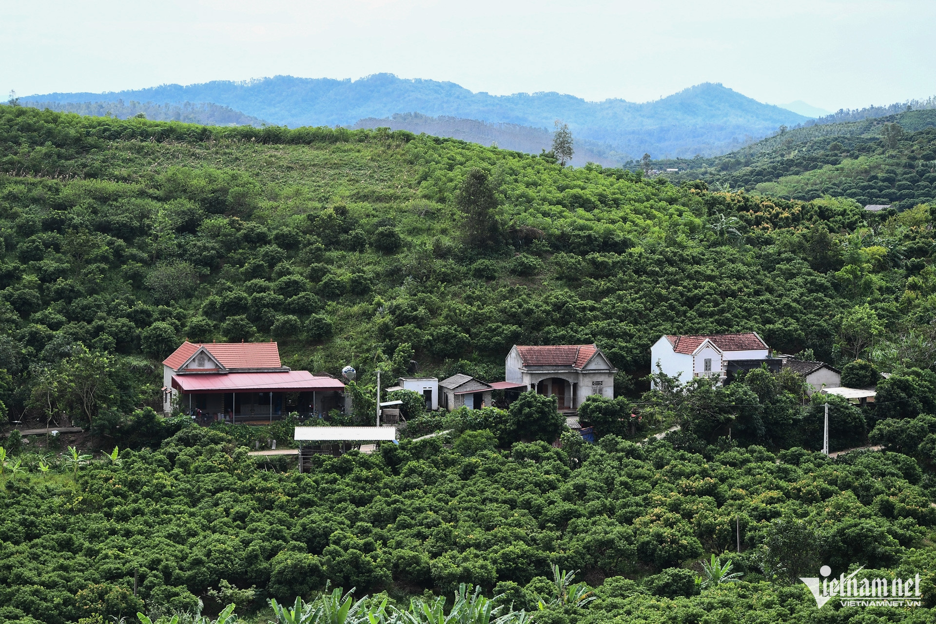 W-Bac Giang _ chuong trinh muc tieu quoc gia 13.jpg