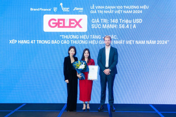 Giá trị thương hiệu GELEX tăng 55%