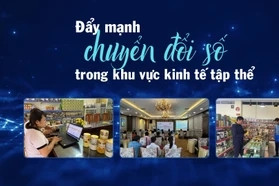 Lào Cai đẩy mạnh chuyển đổi số trong khu vực kinh tế tập thể