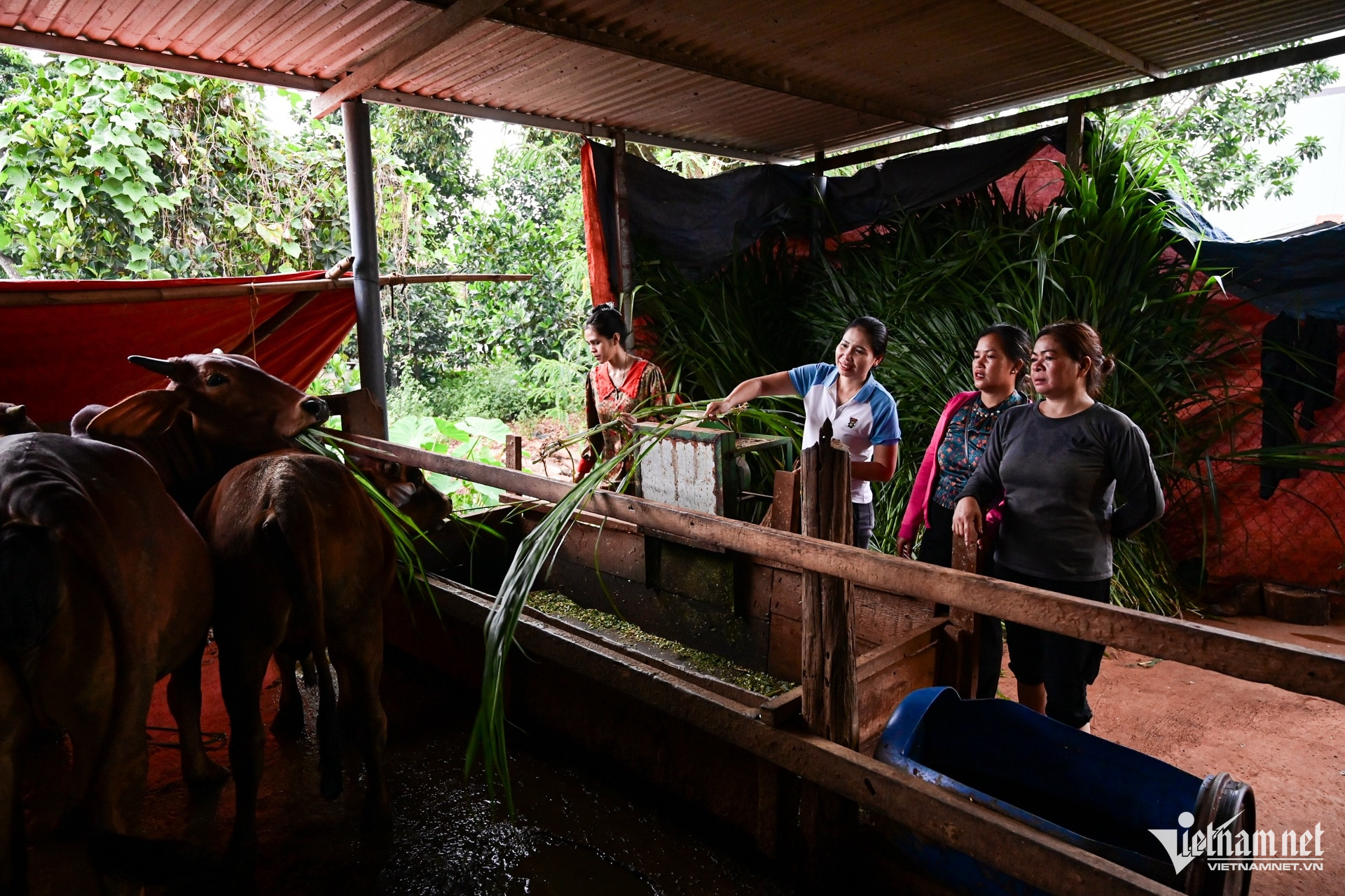 W-giam ngheo nong nghiep .jpg