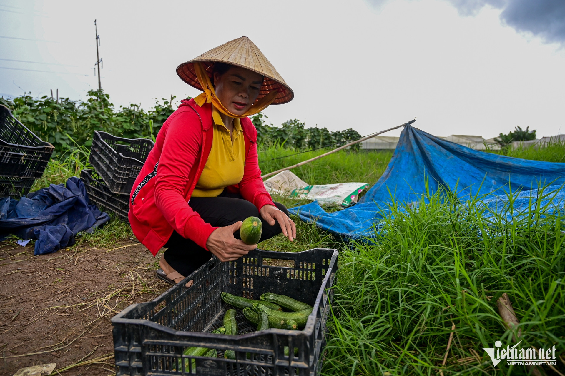 W-giam ngheo nong thon.jpg