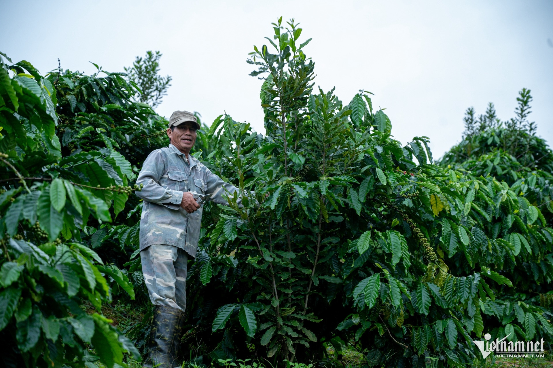 W-Tây Nguyên 63.jpg