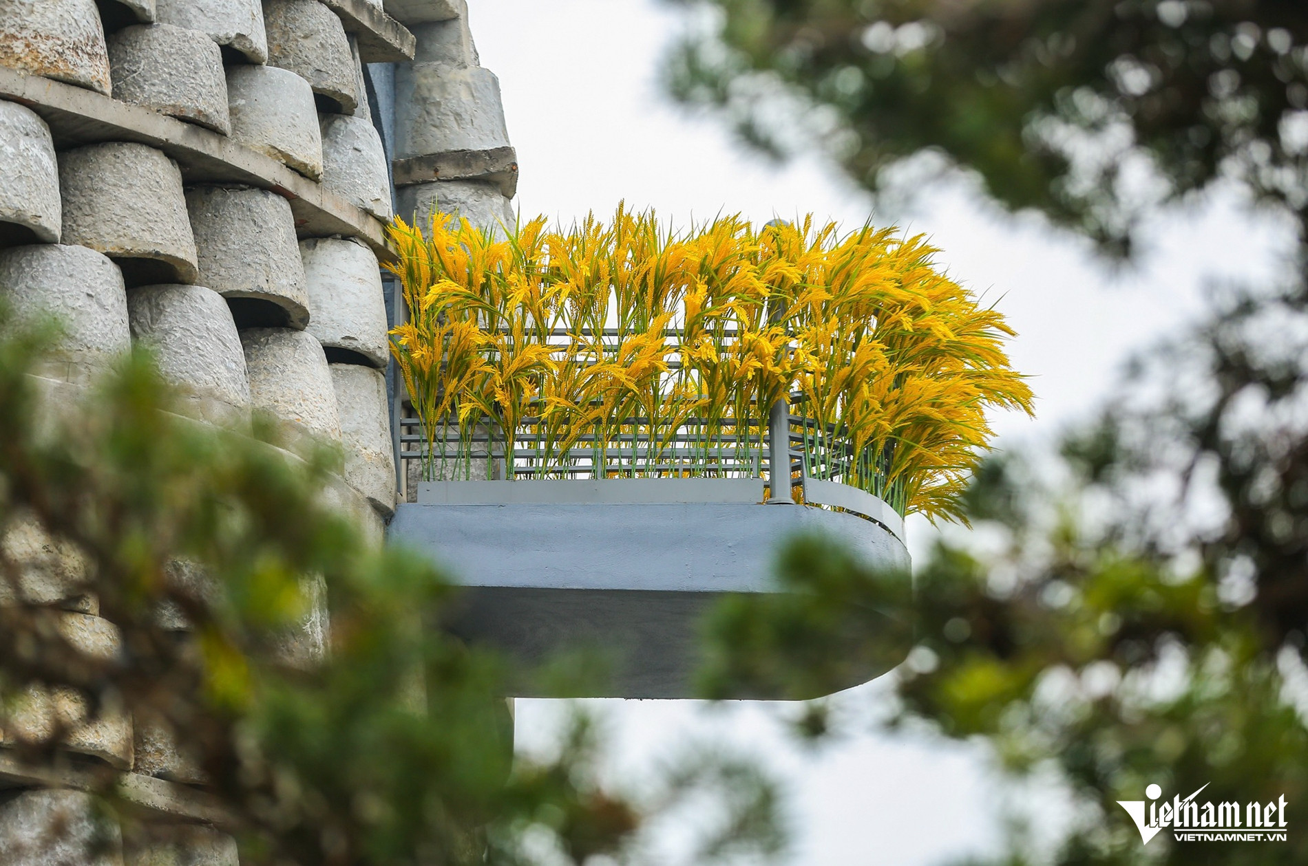 W-tháp thuần nông 8 sửa.jpg