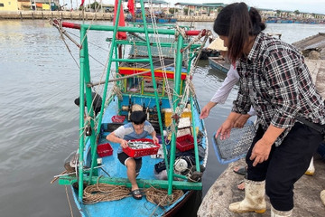 Bình Định: Đẩy mạnh áp dụng công nghệ số, chuyển đổi số vào ngành thuỷ sản