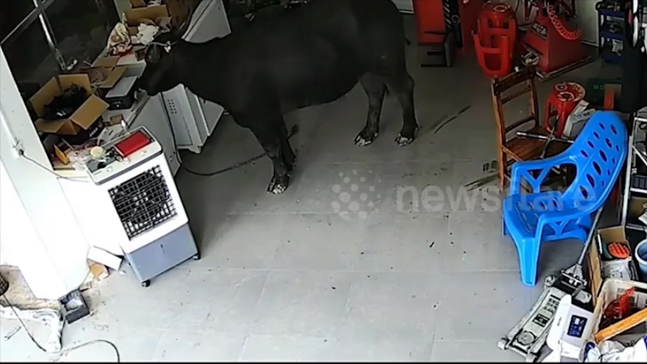 USA TRIP . TẬP 4  Room Tour The Plaza Hotel, New York.01_20_02_22.Still137.jpg