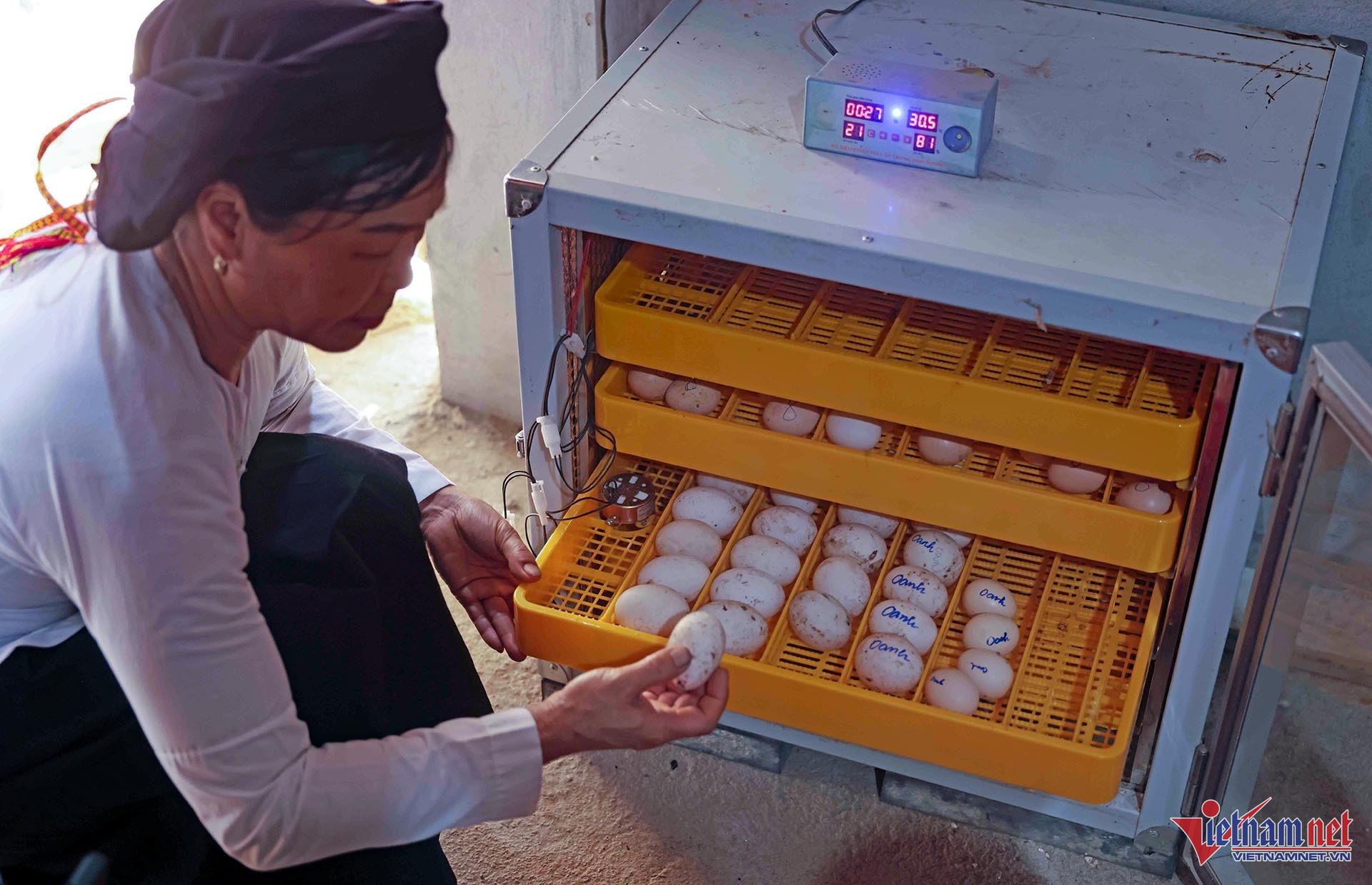 W-A1 NHOM SINH KE XA YEN THANH_8310.jpg