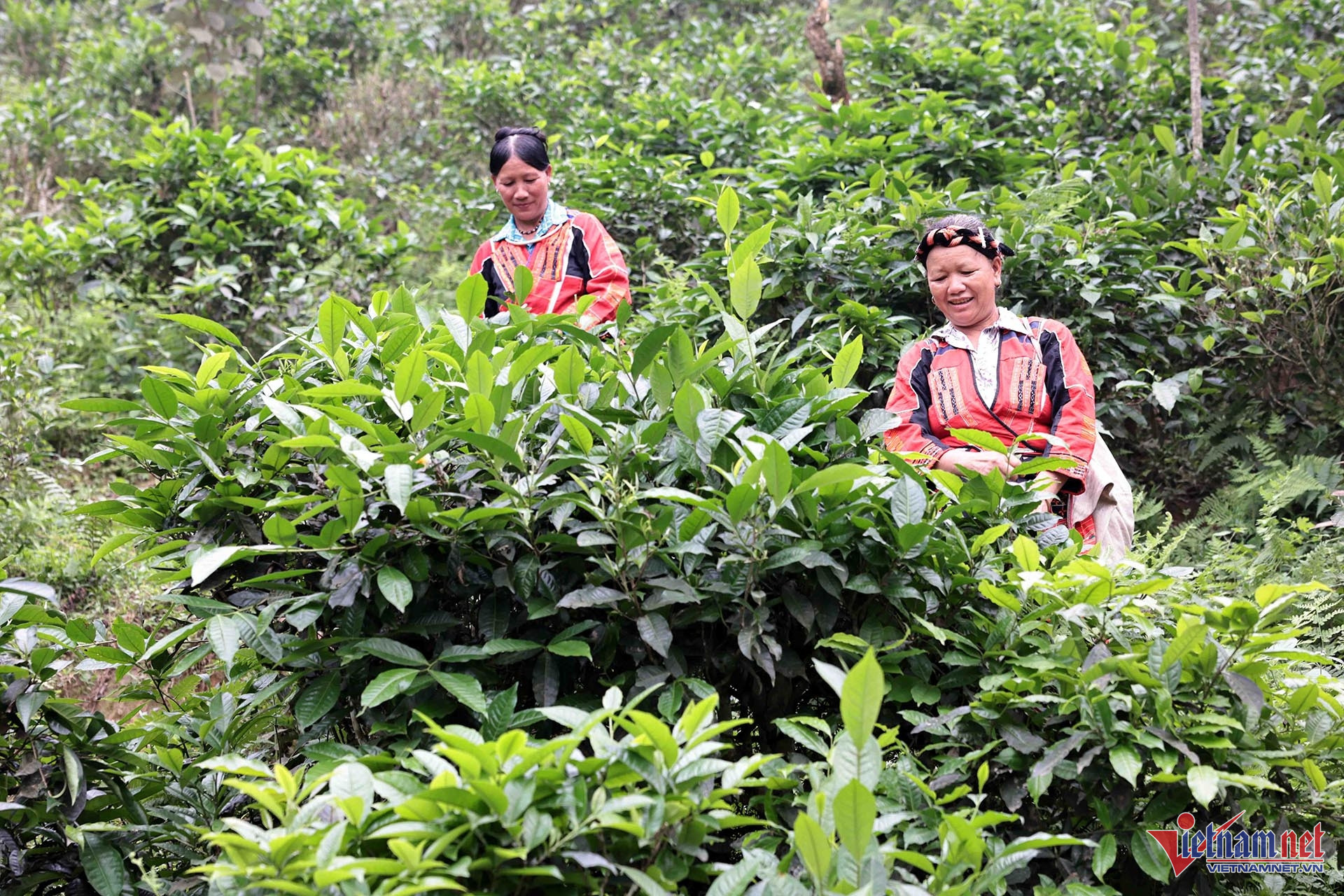 W-A12 YEN THANH QUAG BIH HG_7817.jpg