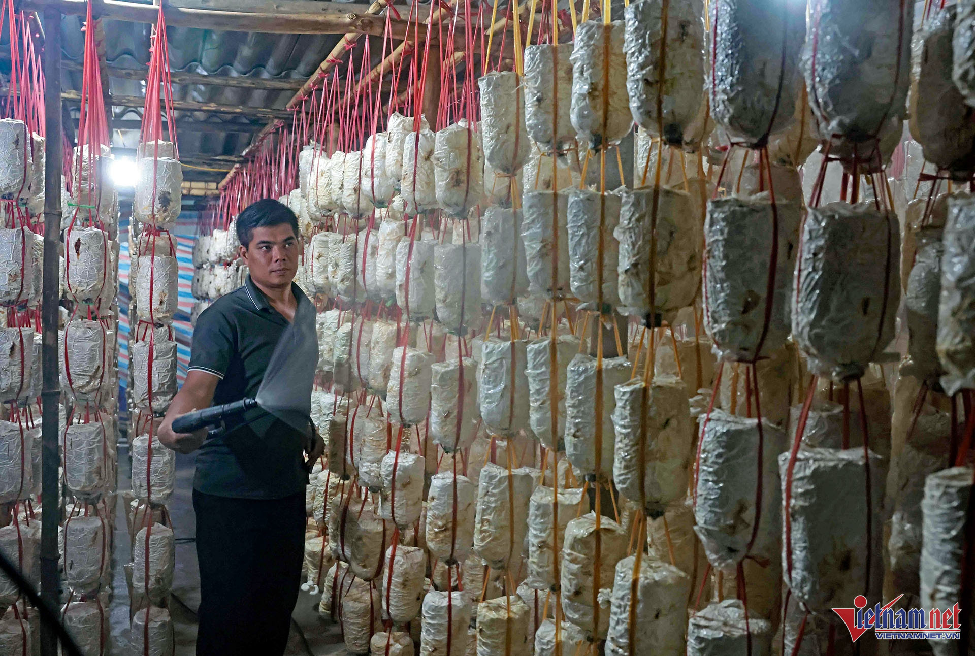 W-A7 HOANG THI HIEN DT TAY_8449.jpg