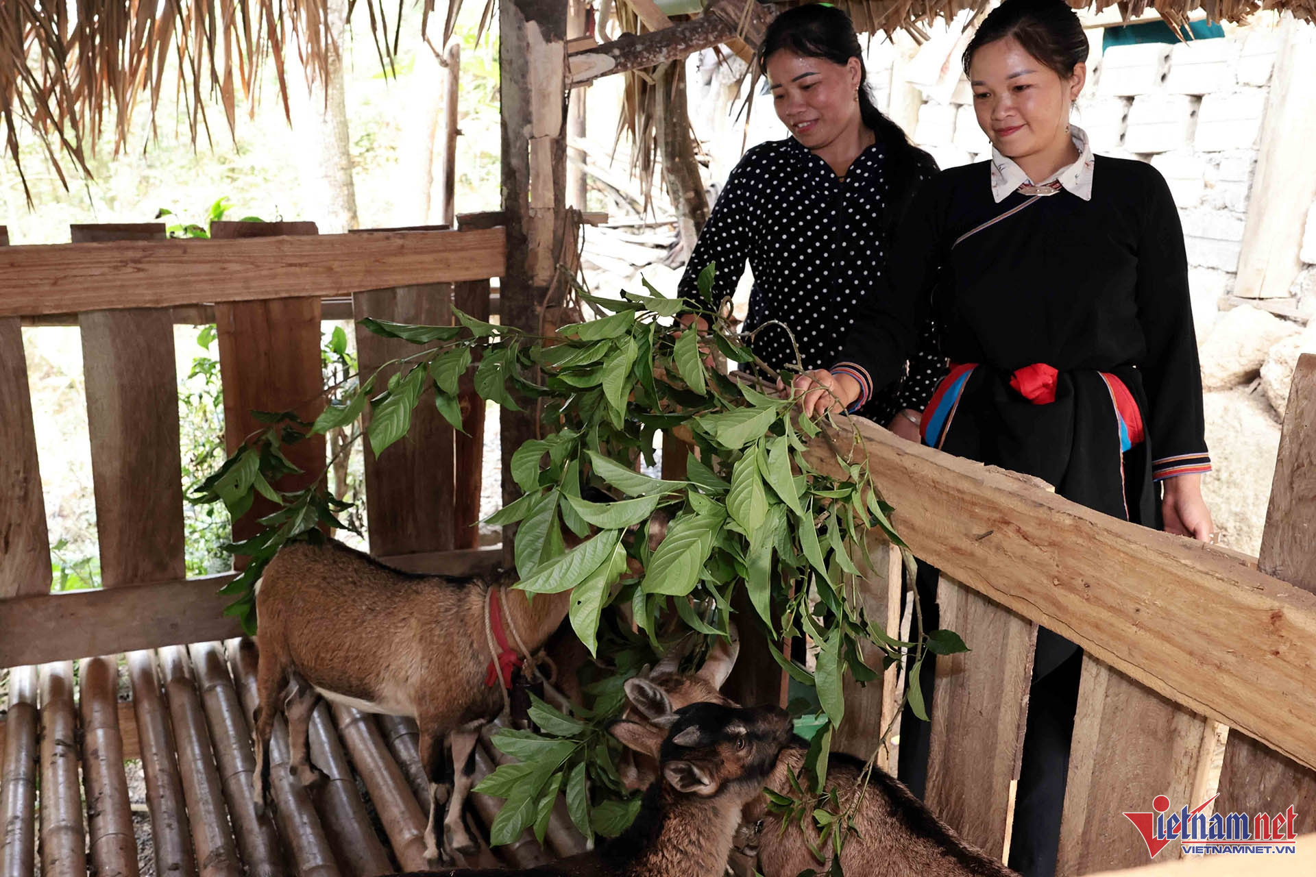 W-A8 LY THI HONG DT DAO_8194.jpg